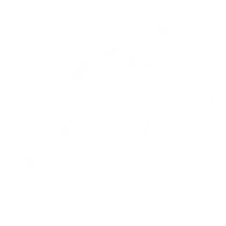 BEAR LIFE SHOP