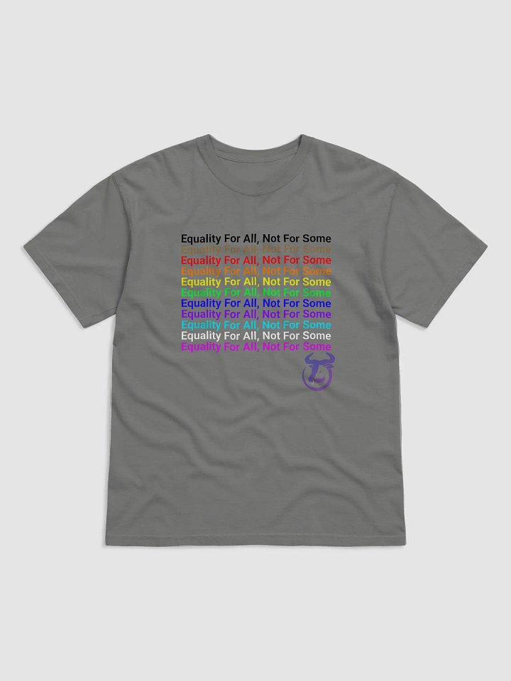 Equality For All, Not For Some T-Shirt product image (1)