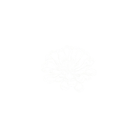 Blooms tier thumbnail
