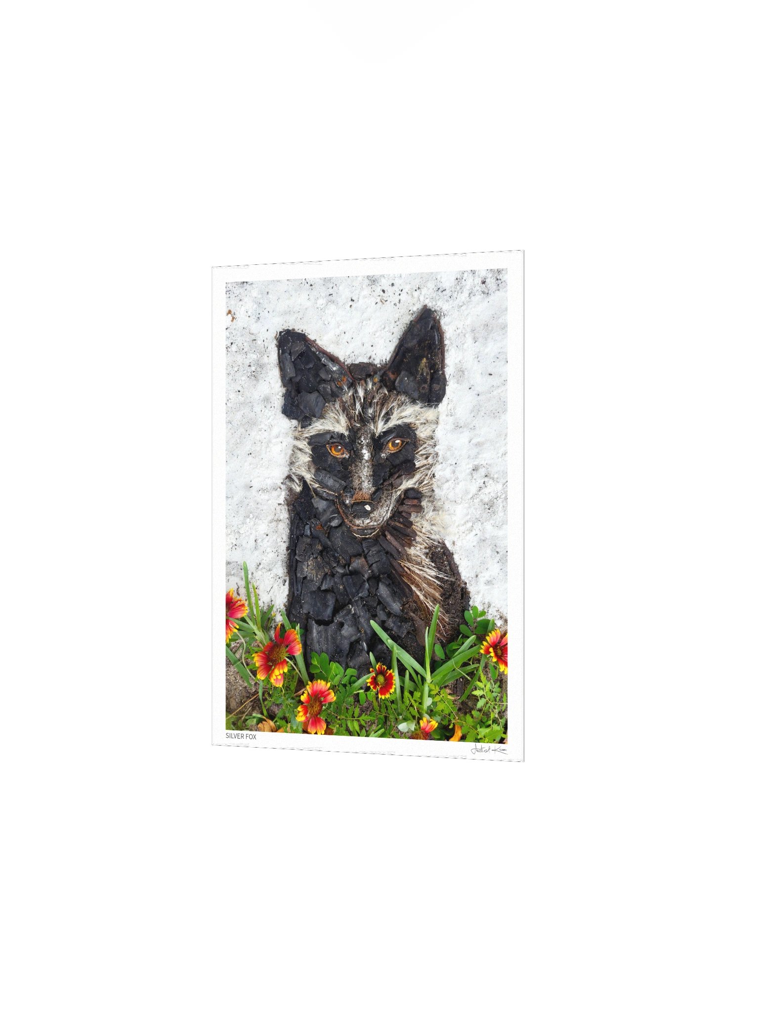 SILVER FOX | Fine Art Print product image (3)