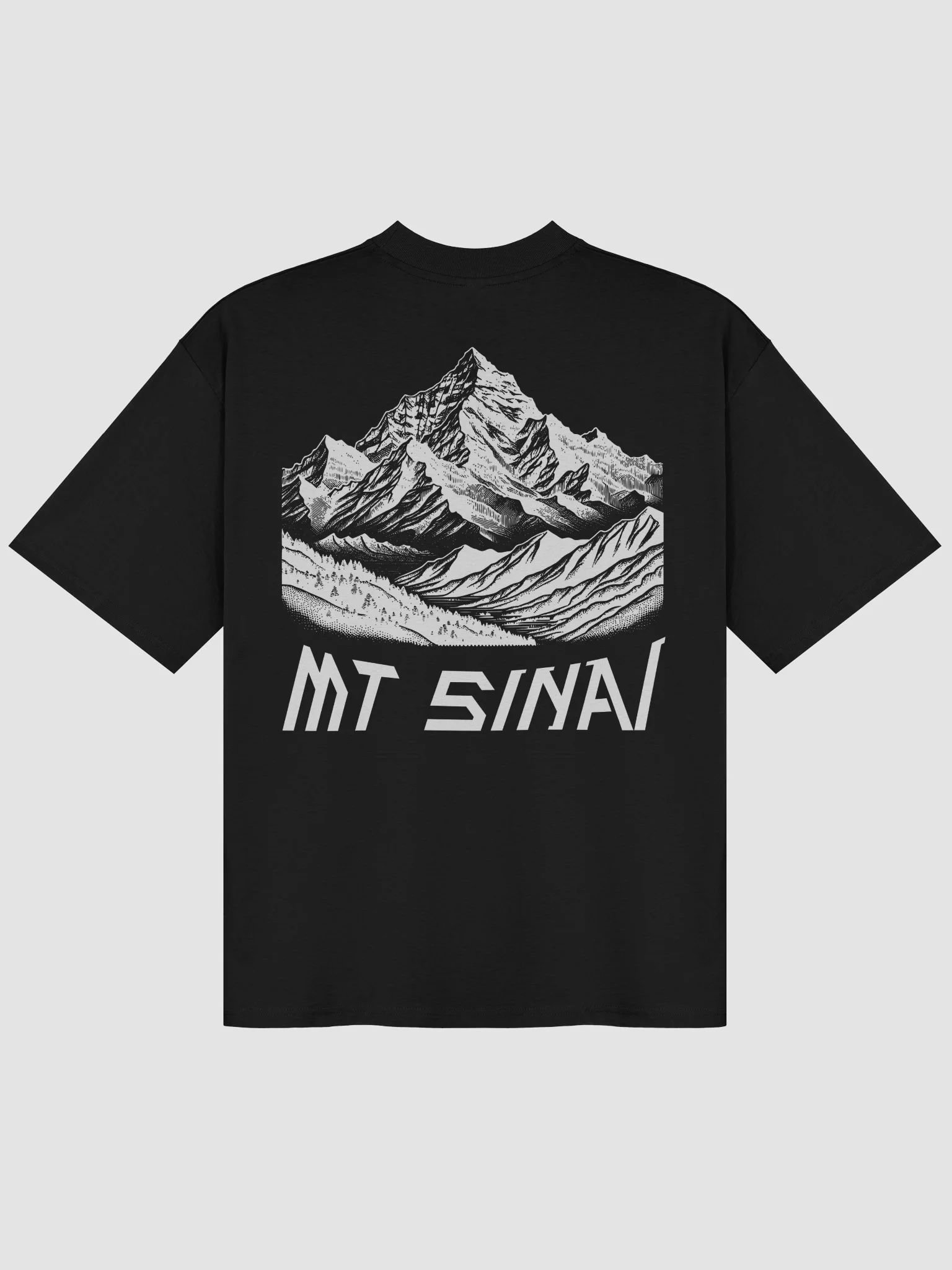 Oversized Sinai Tee product image (1)