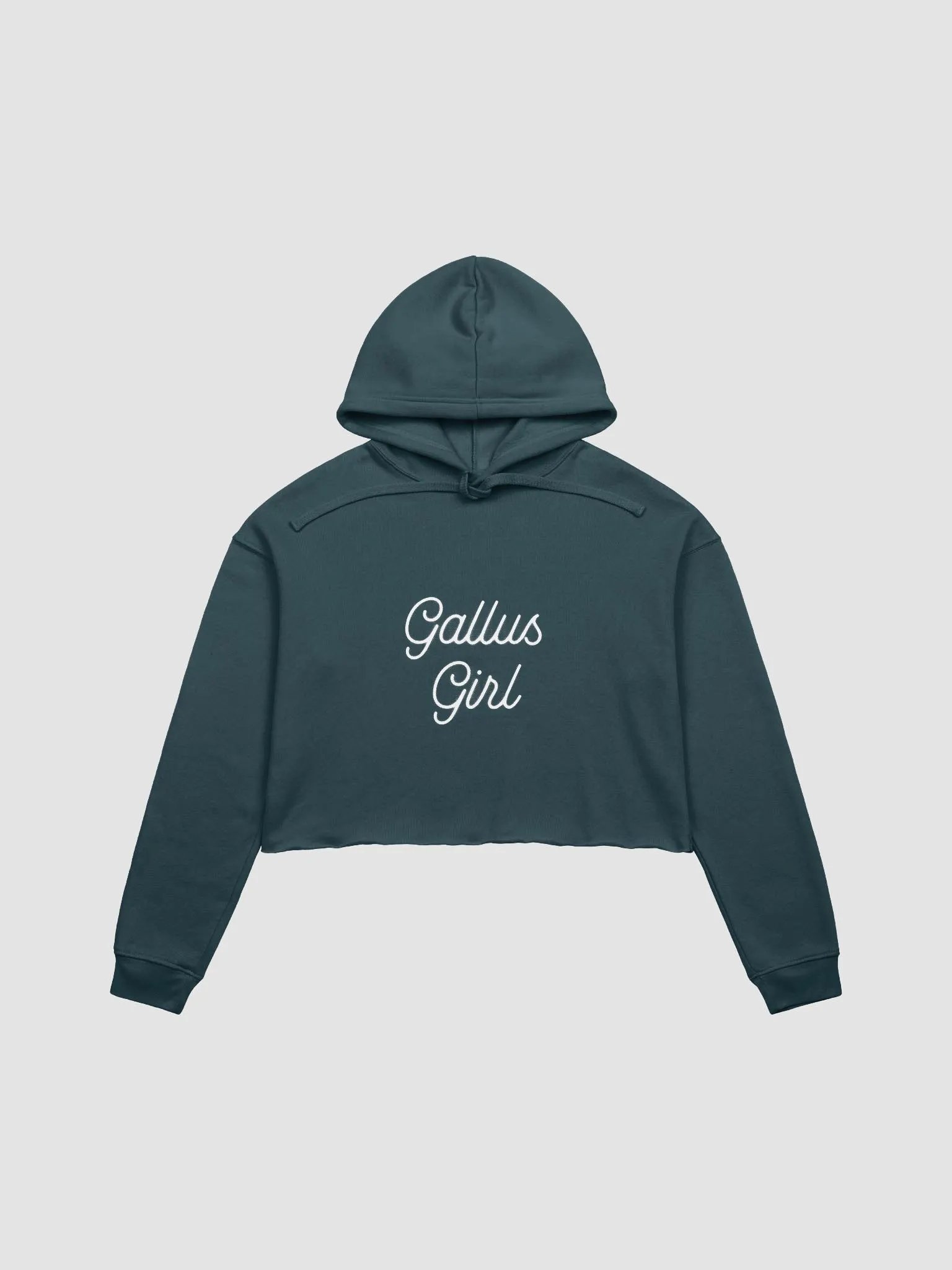Gallus Ladies Hoodie product image (1)