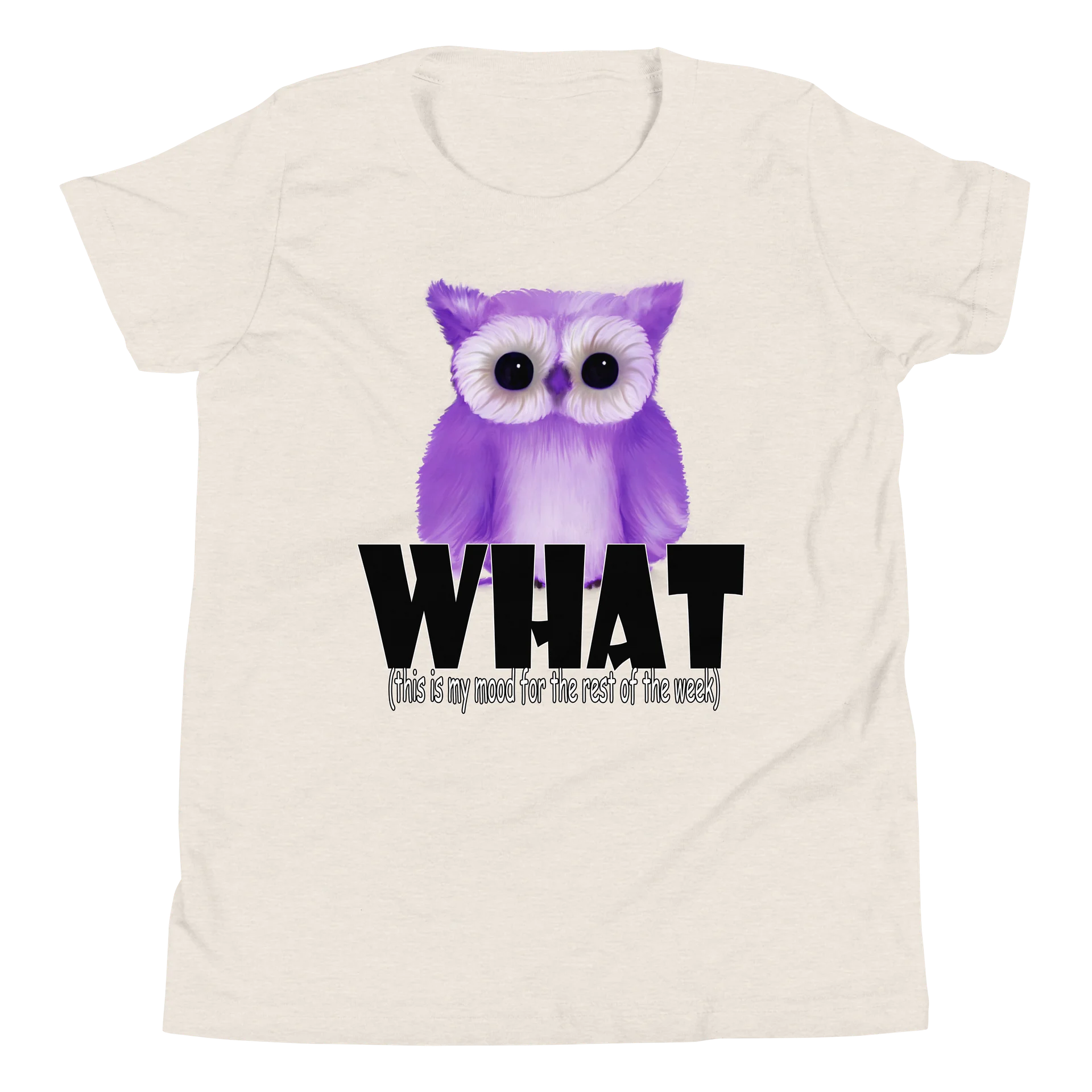 Owl "WHAT" T-Shirt. Youth Short Sleeve T-Shirt - Bella+Canvas product image (1)