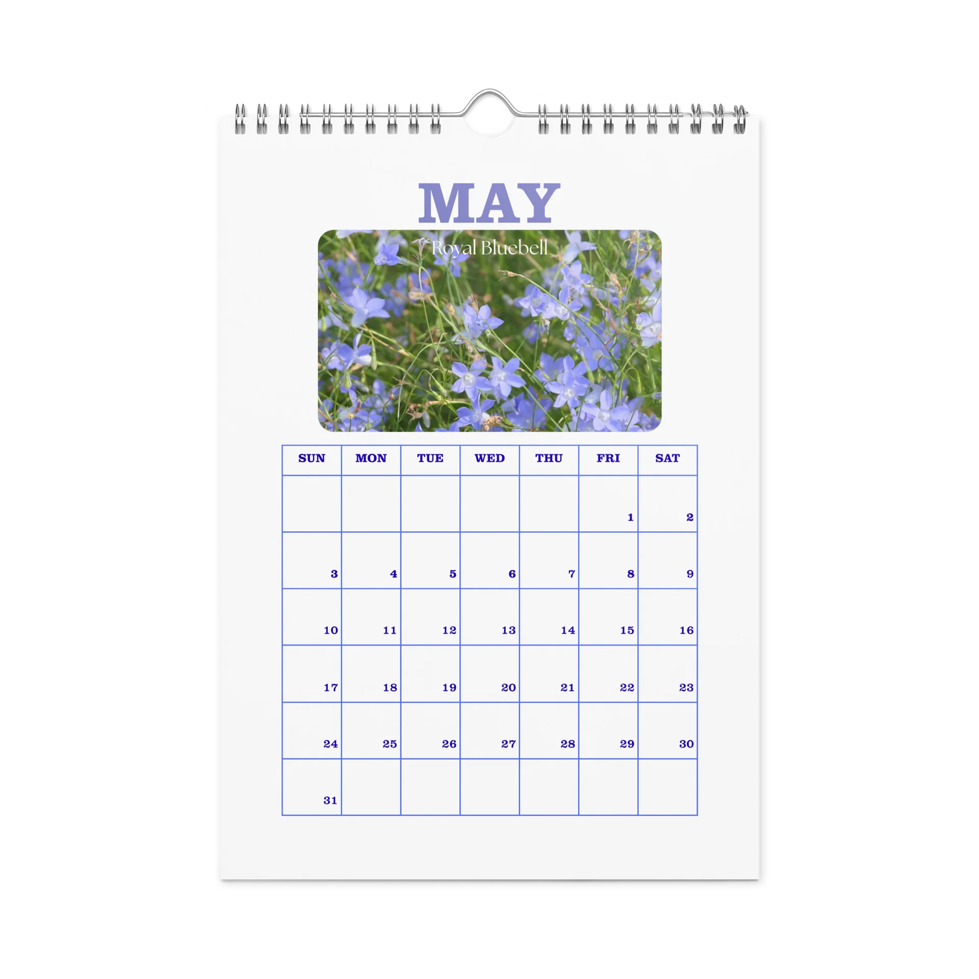 2027 - PRIDE WITH AUSTRALIAN NATIVE FLORA - Wall Calendar product image (10)