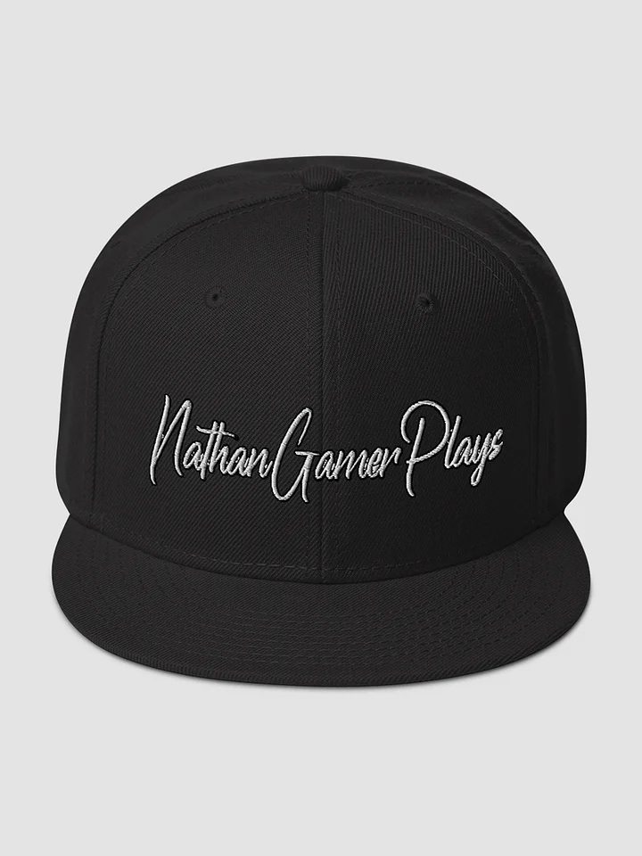 Snapback - Otto Cap product image (1)