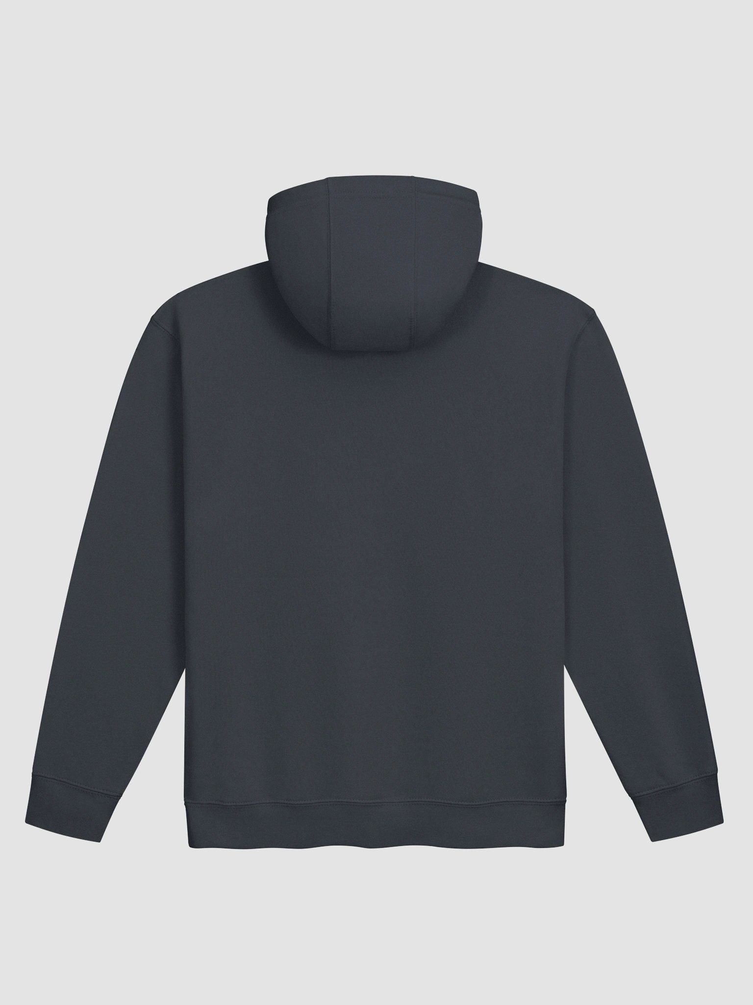 Main Logo Hoodie product image (2)