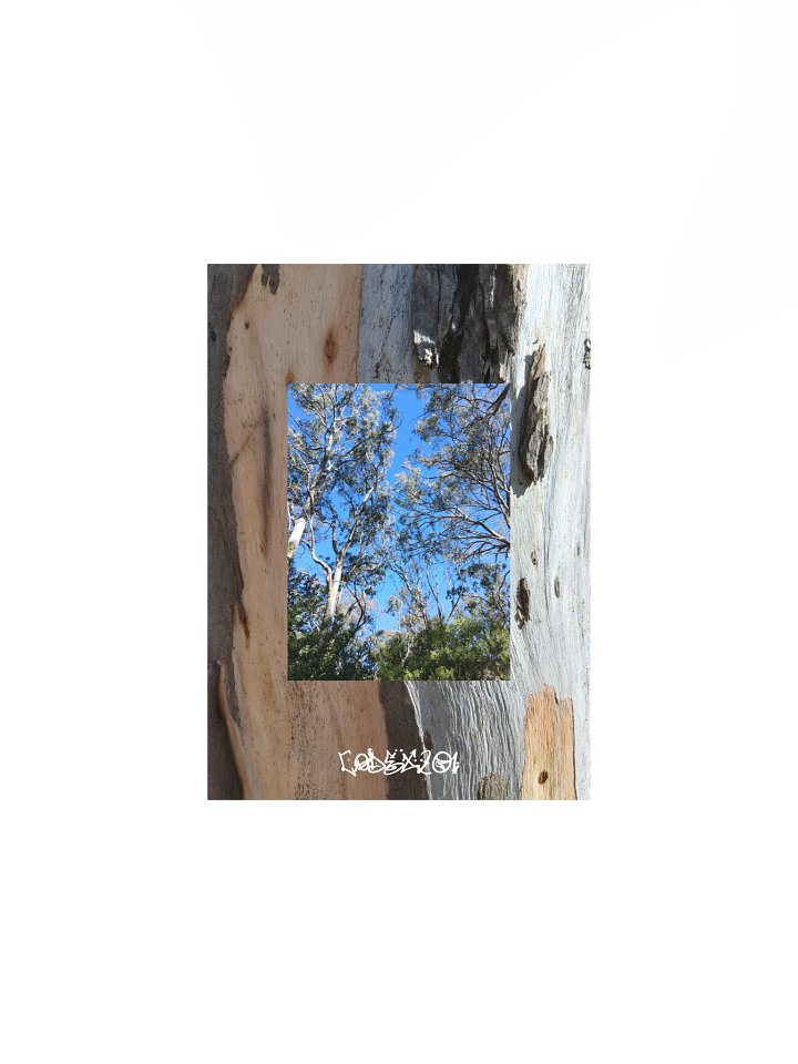 Bark 2 Bark product image (1)
