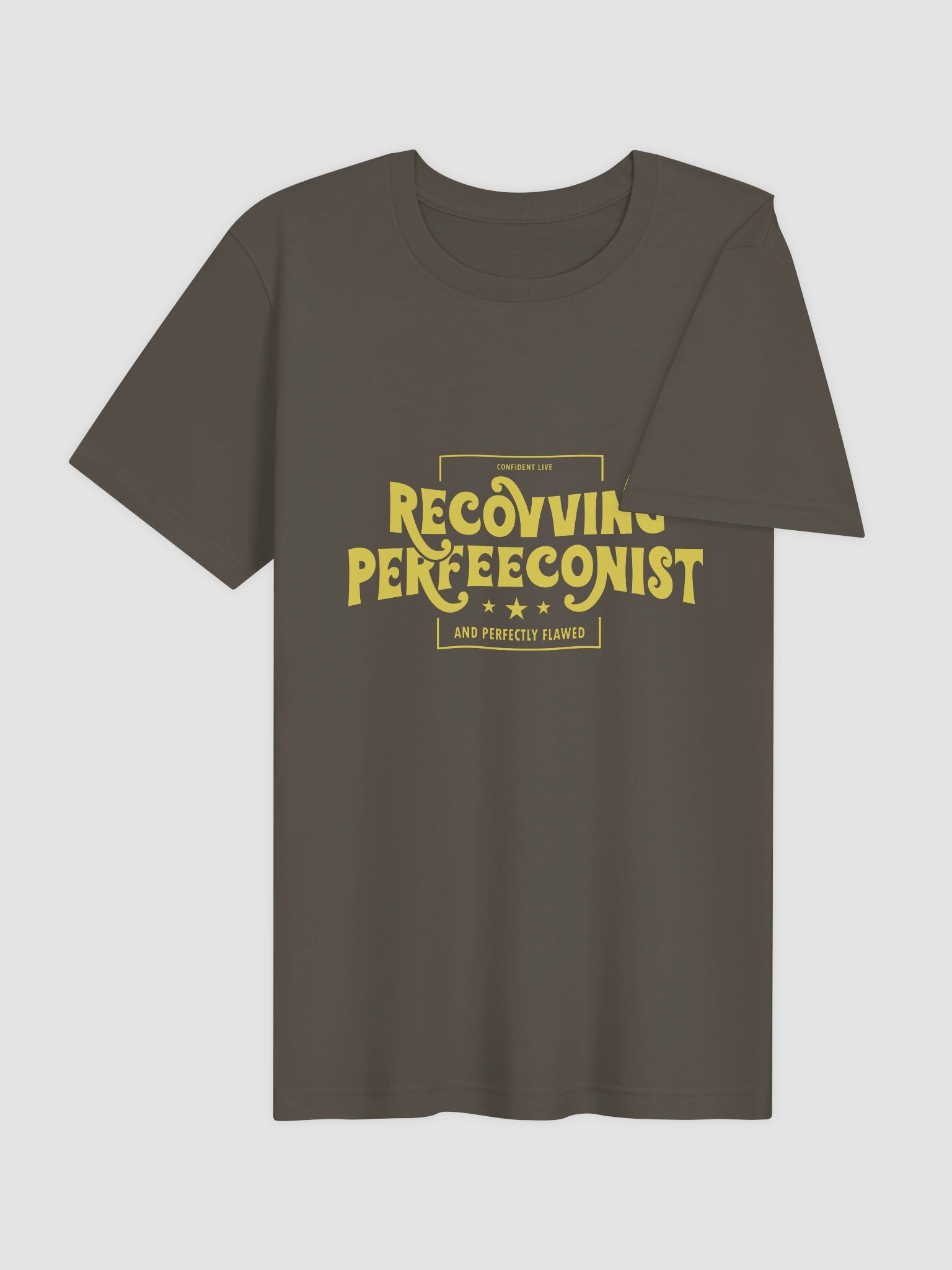 Perfectly Flawed Recovving Perfeeconist T-Shirt product image (17)