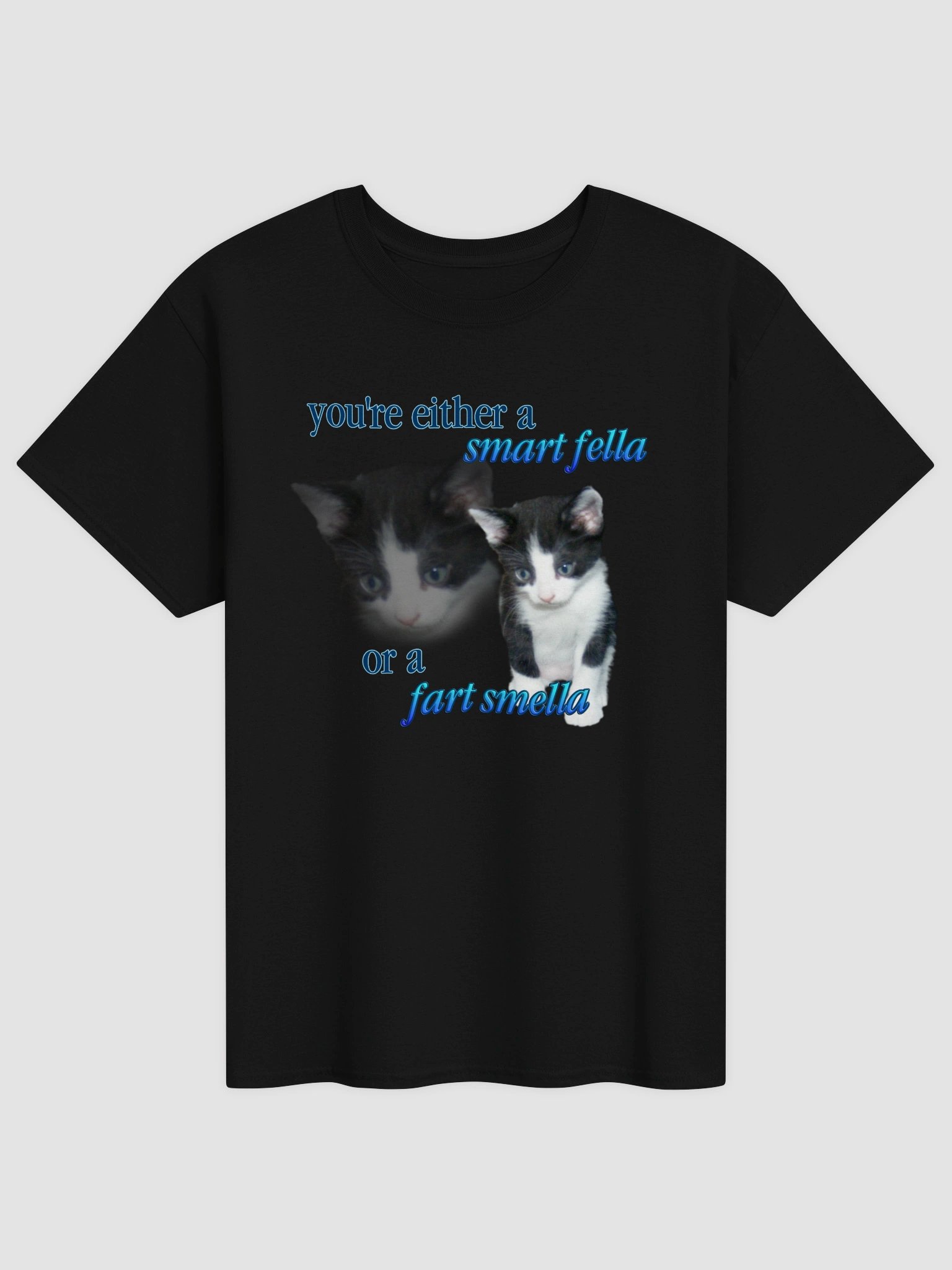 Smart Fella or a Fart Smella - Cat T-shirt product image (33)