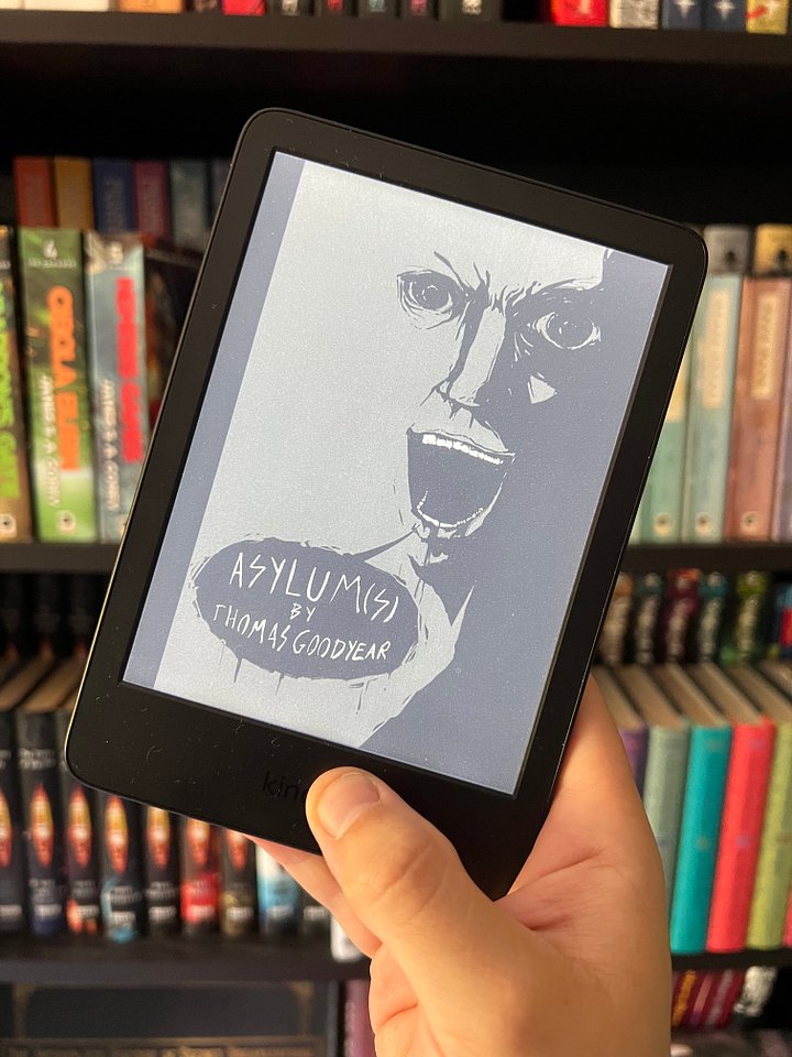 'Asylum(s)' - Ebook Edition product image (2)