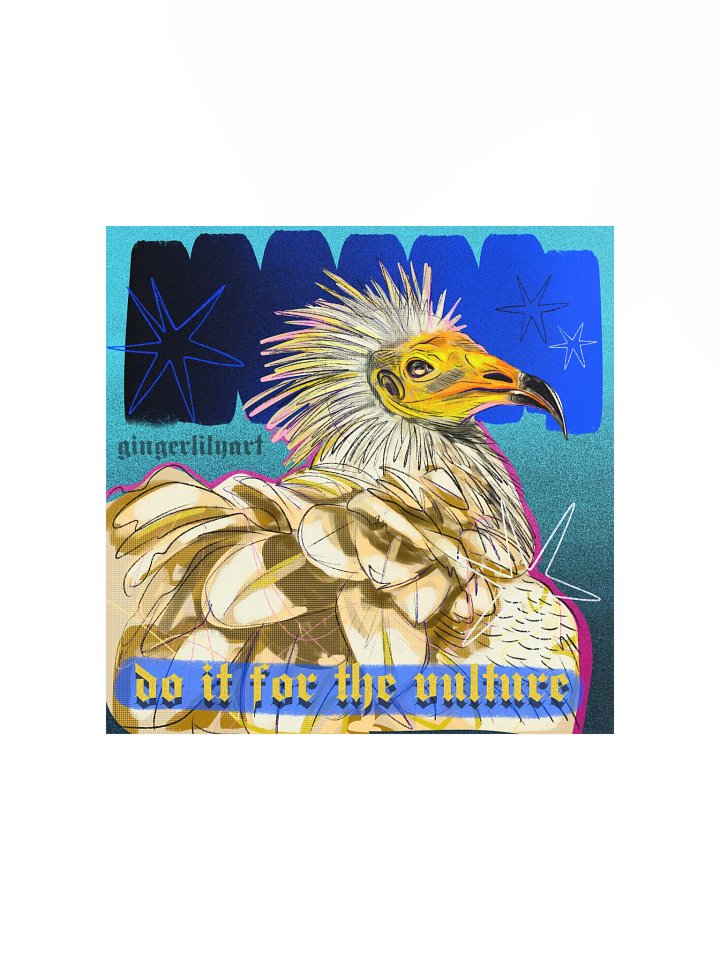 egyptian vulture print product image (1)