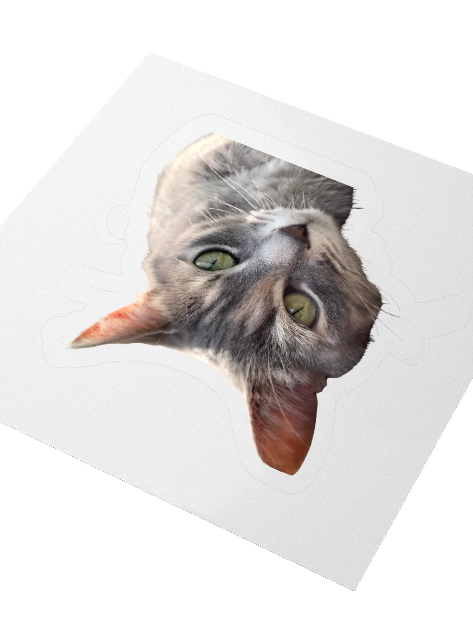 Nova without background product image (3)