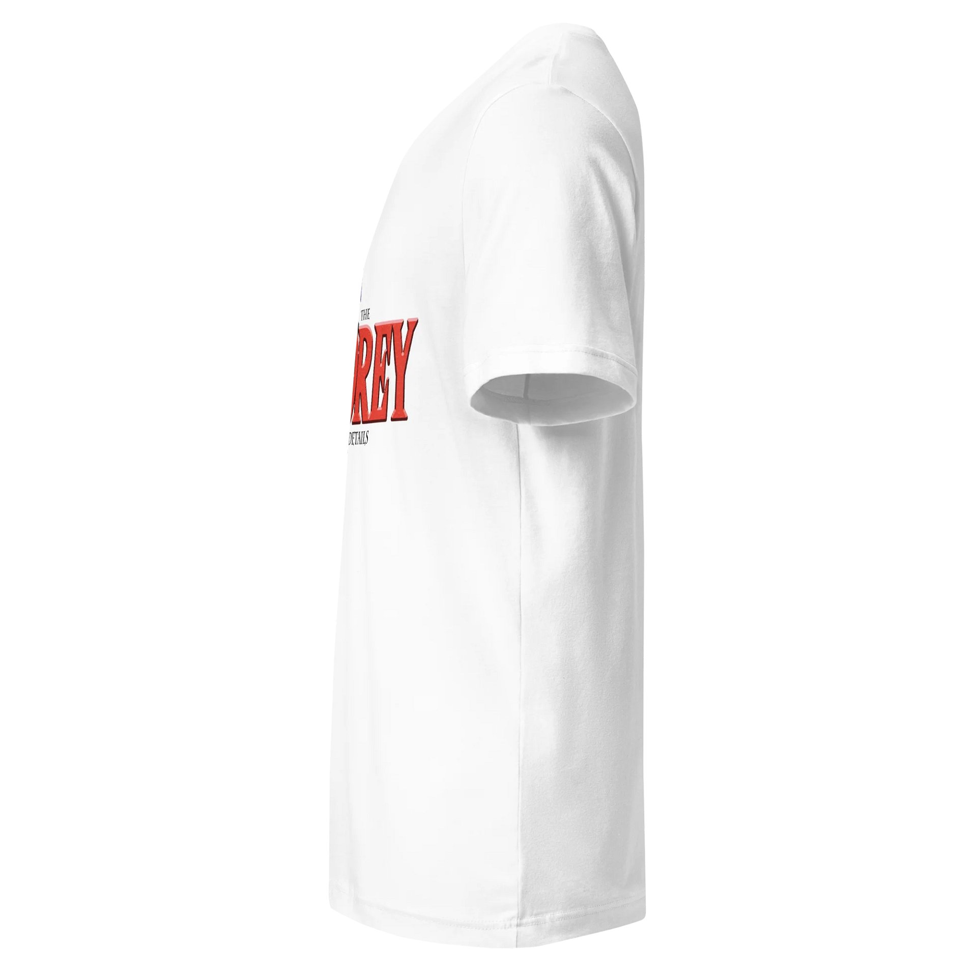 Hero of Time - Bella+Canvas Short Sleeve V-Neck Jersey T-Shirt product image (10)