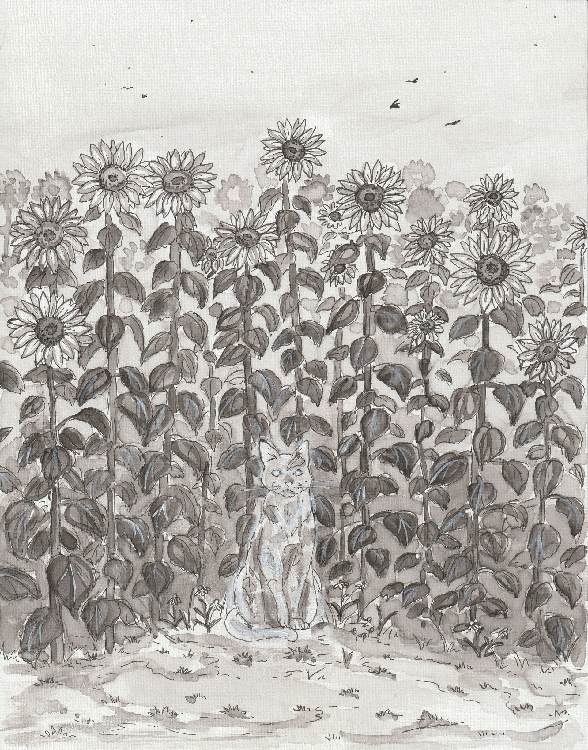 Original Full-Page Illustrations product image (1)