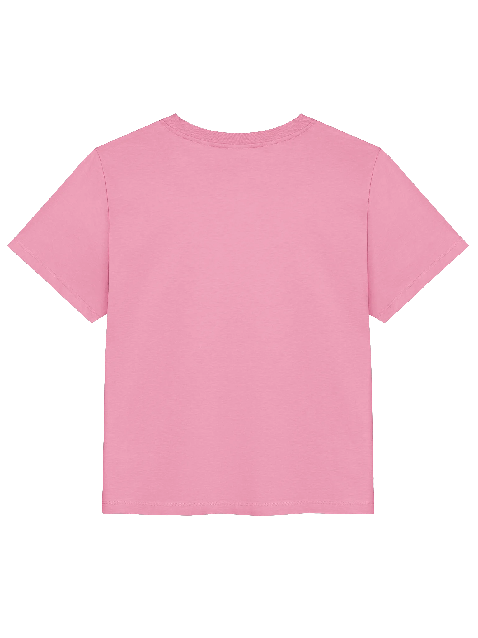 Organic Ribbed Neck T-Shirt (Women's) product image (2)