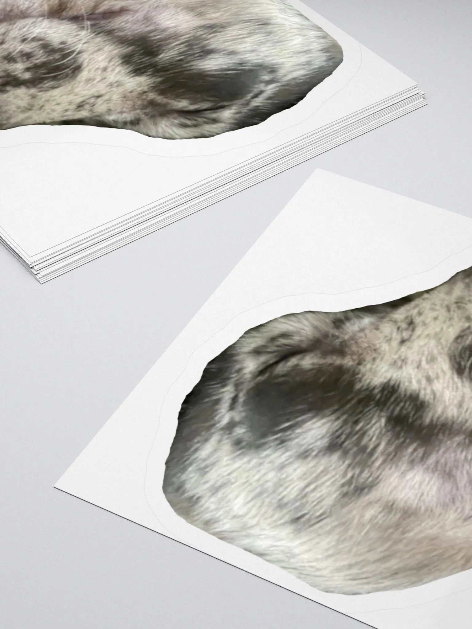 Poppy (Sleep) product image (11)