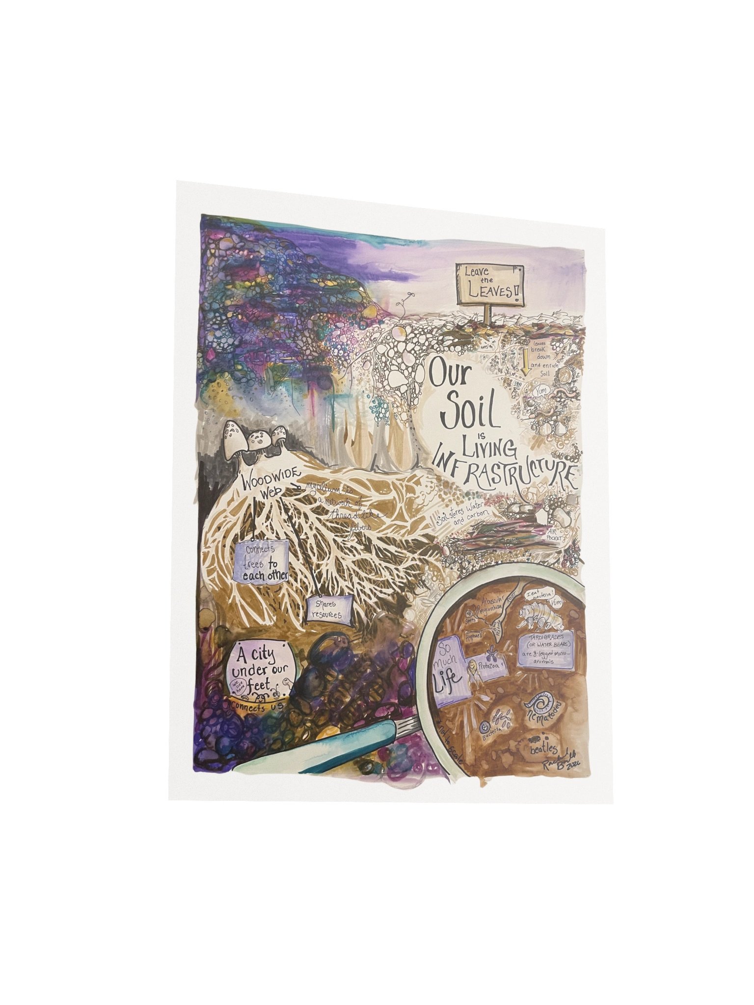 "Soil is Living Infrastructure" (Poster) product image (3)
