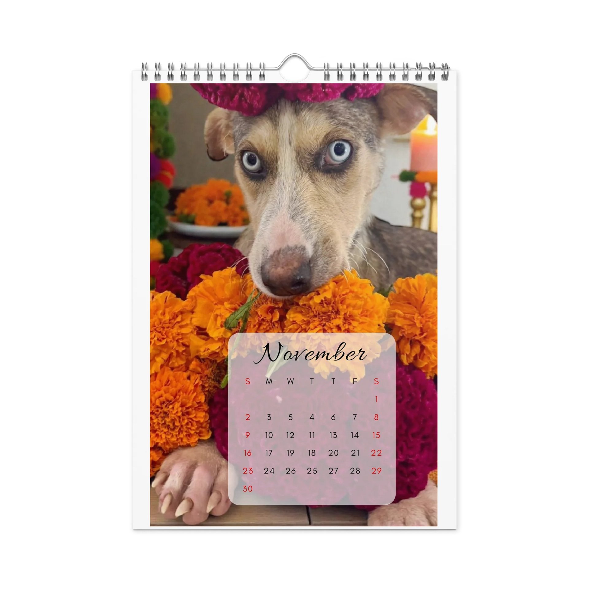 Isla Animals Calendar 2026 product image (10)