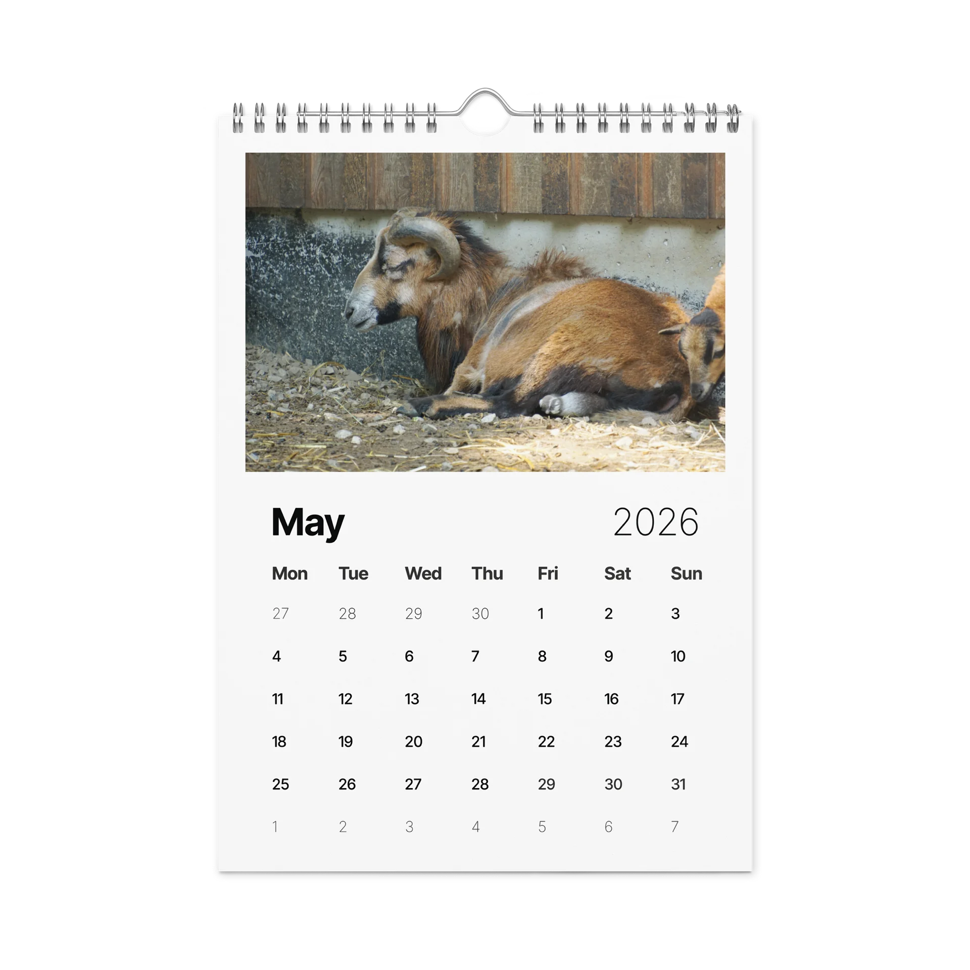 One Year, Twelve Animals: ESE 2026 Wall Calendar product image (10)