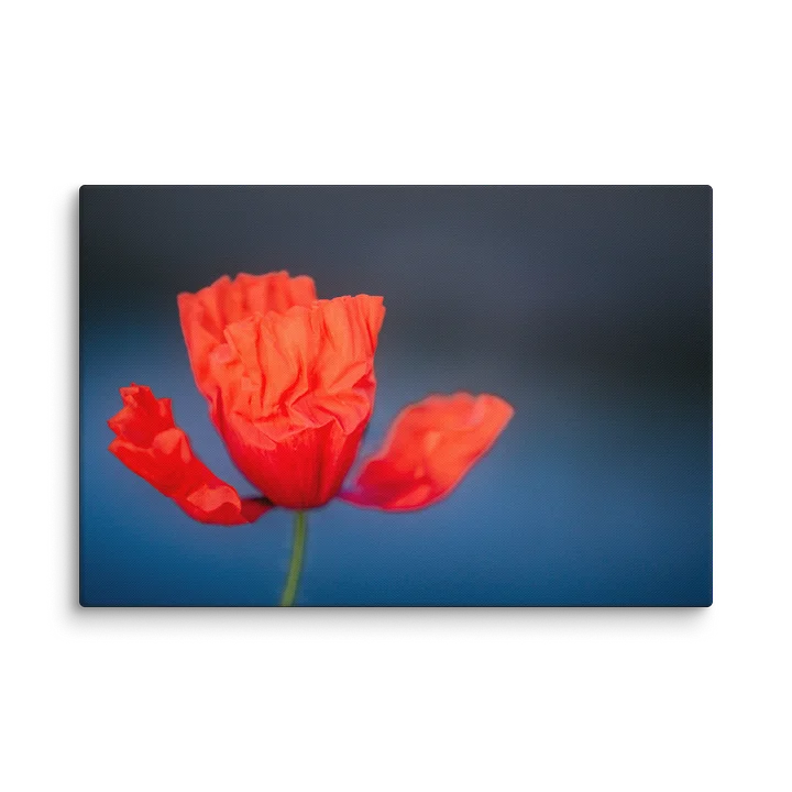 Fragile Crimson Canvas Print product image (2)