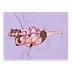 DAKIMAKURA BLANKET - PURPLE