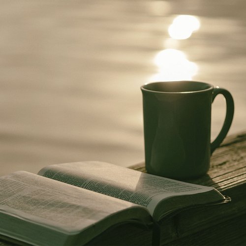 What’s your go-to reading routine?
Is it settling into your favorite chair, grabbing a coffee, or getting some quiet time out...
