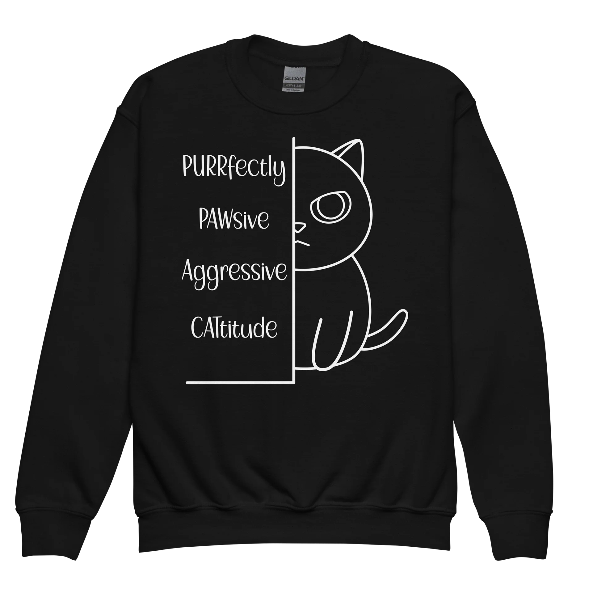 Passive Aggressive Cattitude - Unisex Youth Sweatshirt product image (1)