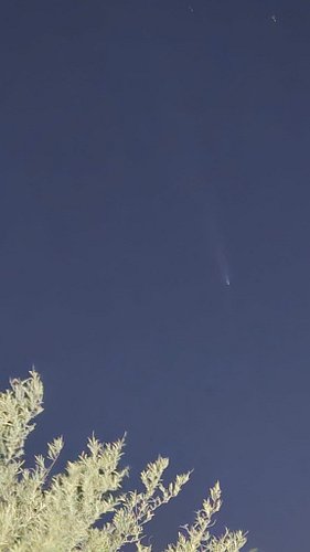 My attempt at capturing the comet from my phone in VERY light polluted Phoenix.