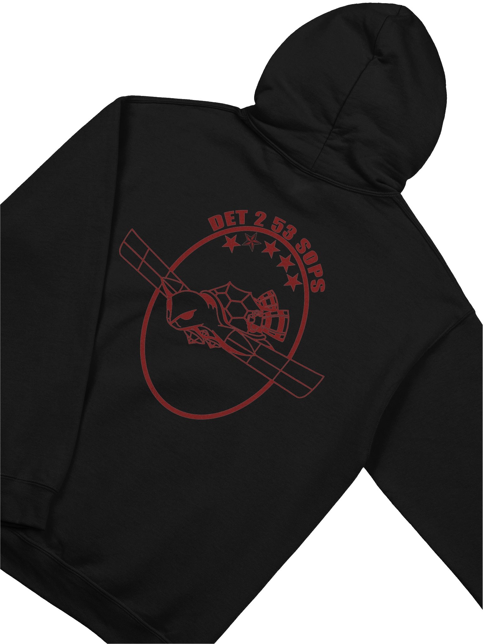 PT Hoodie product image (4)