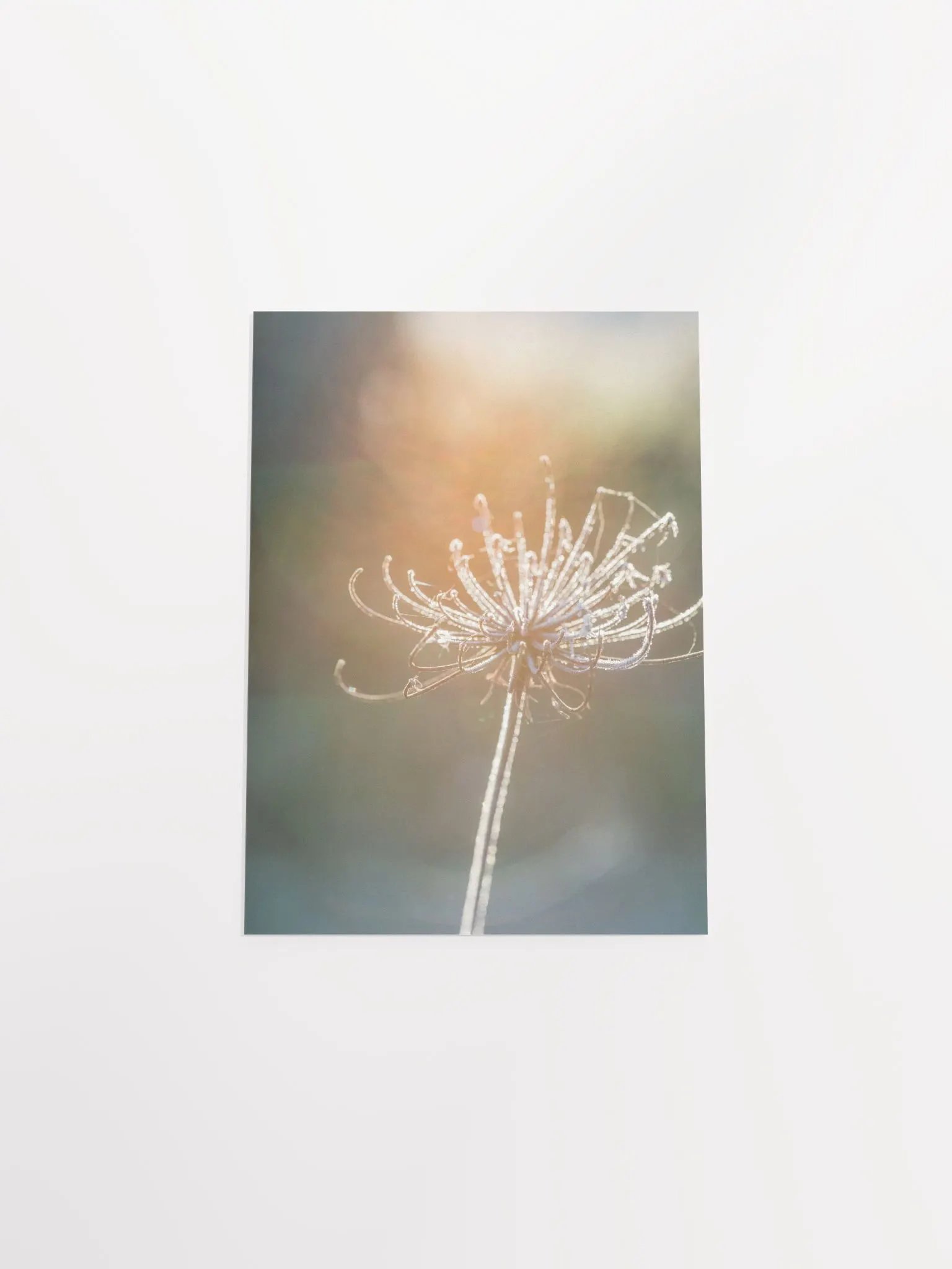 Dreaming product image (10)