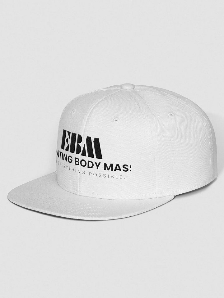 EBM Snap Back Cap (Black Logo) product image (2)