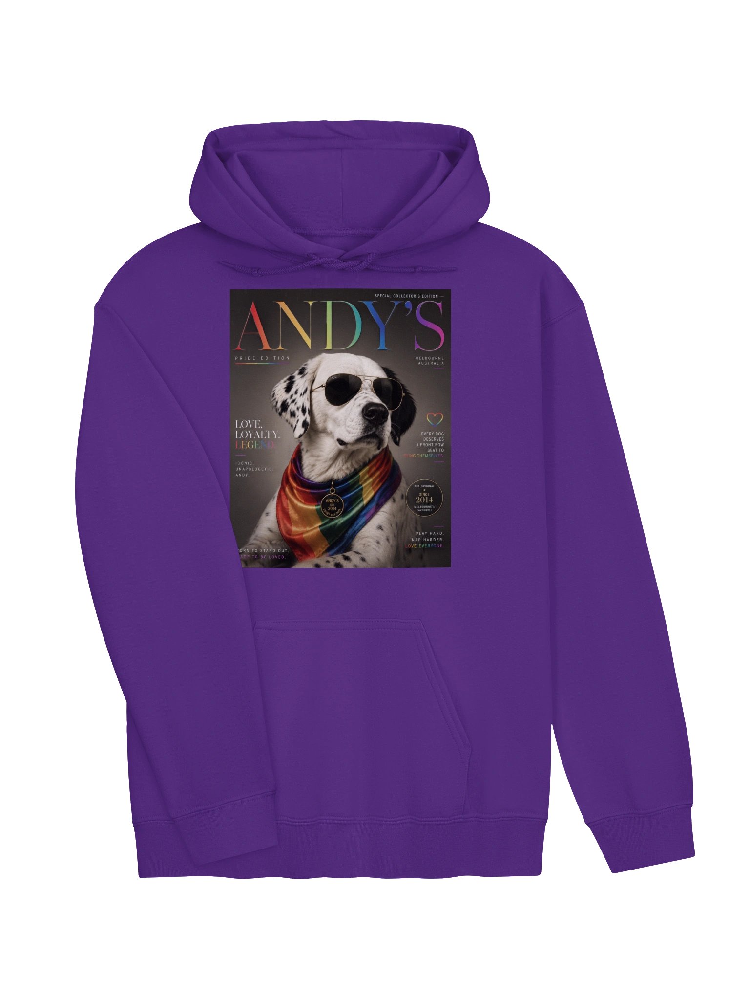 Andy's Pride Edition Hoodie product image (27)