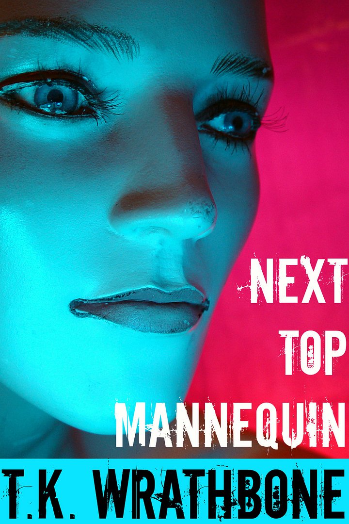 Next Top Mannequin (YA horror story) (ebook) product image (1)