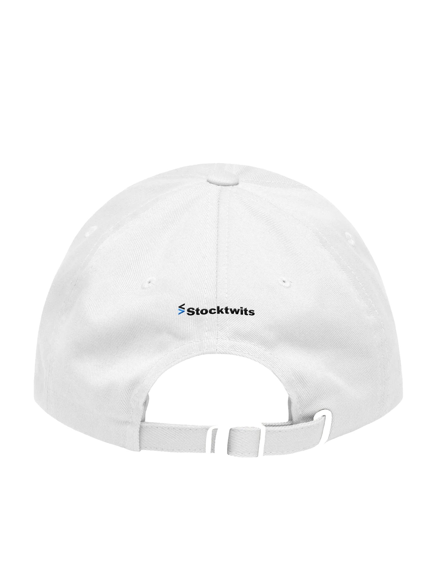 Chart Art Dad Hat product image (2)