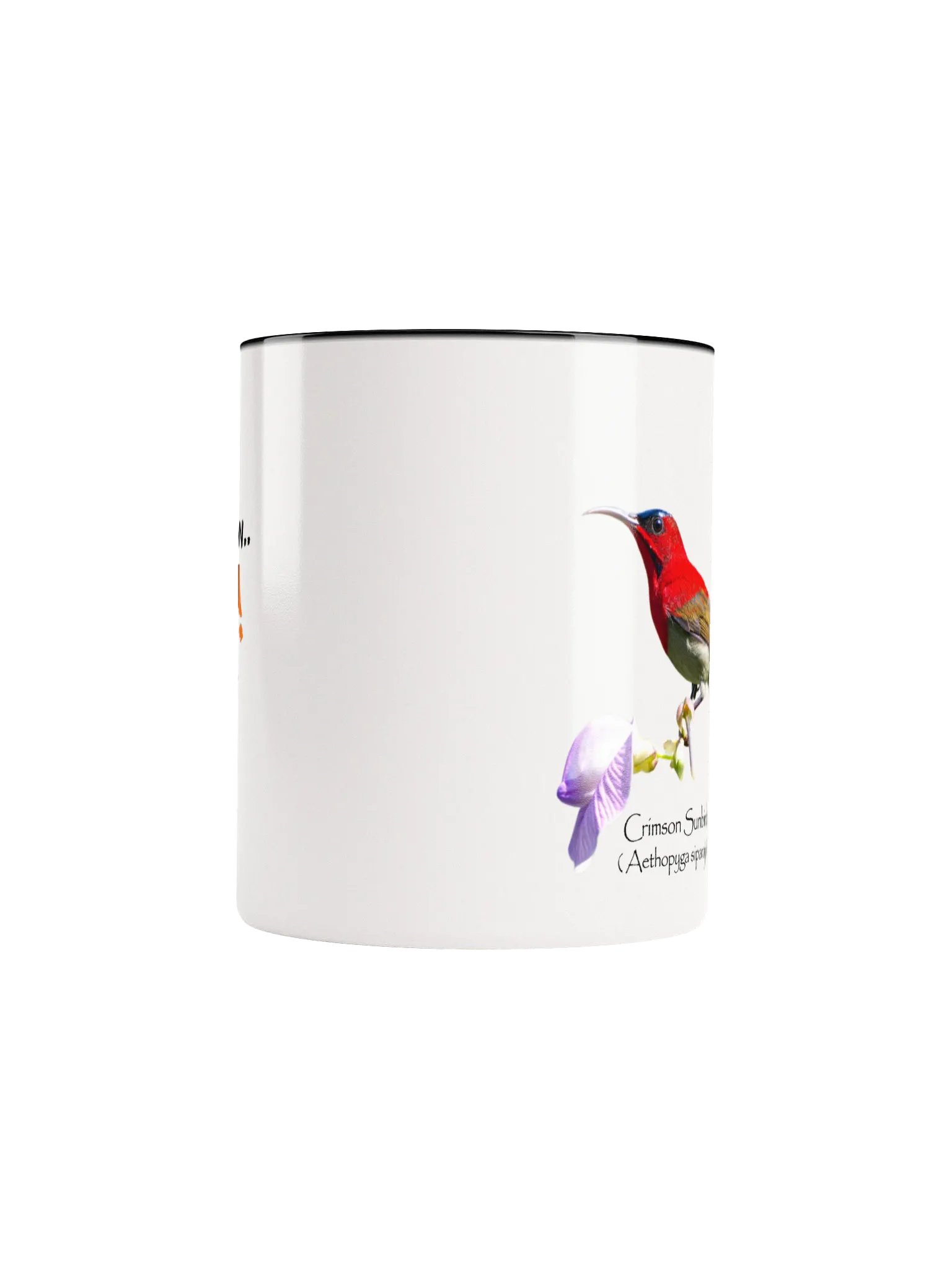 Crimson Sunbird mug product image (47)