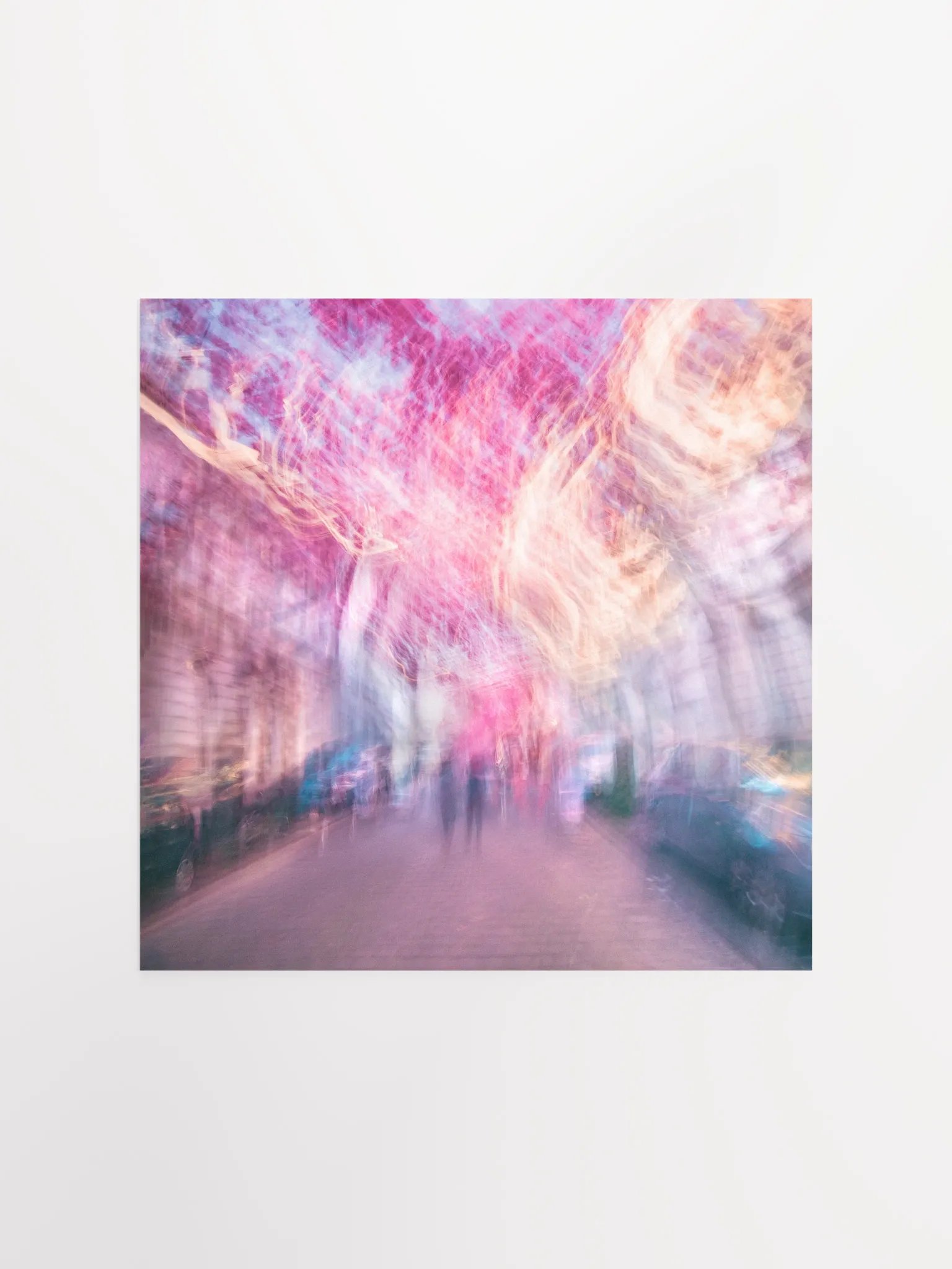 Pink Sky - Cherry Blossoms - Print product image (2)