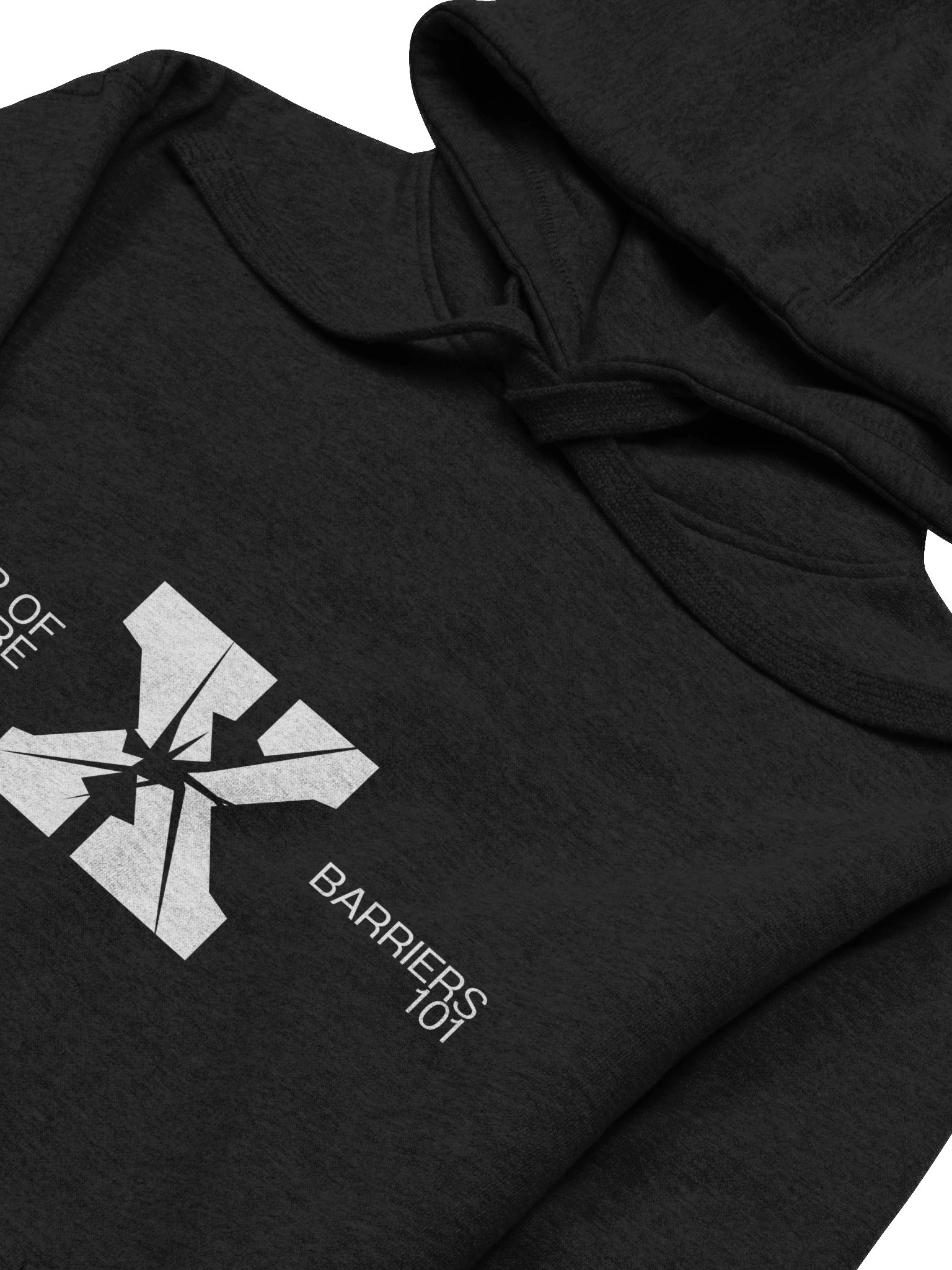 Fear of Failure cancels Barriers 101 Regular Fit Hoodie product image (21)