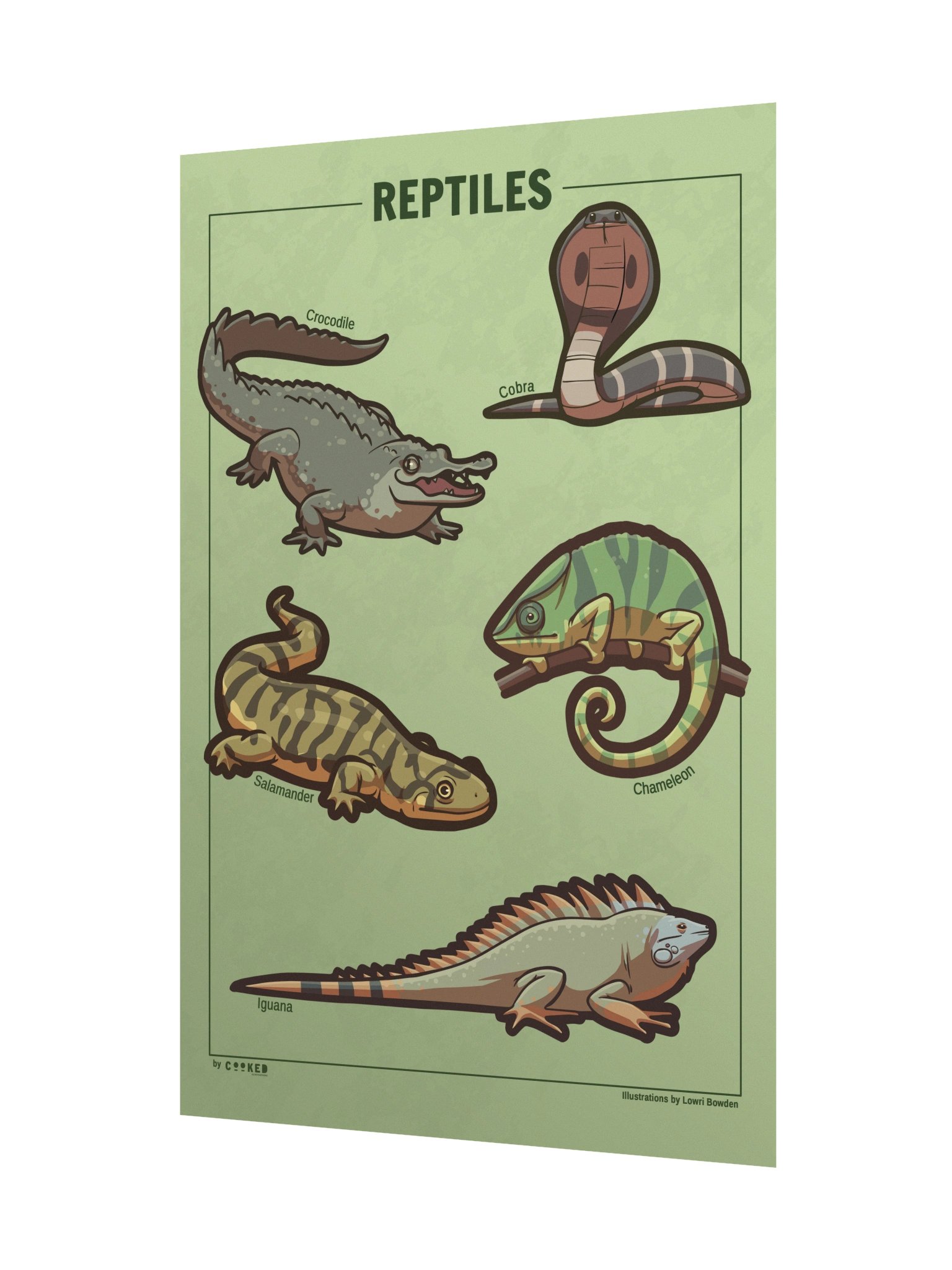 Reptiles Poster - 5 Illustrated Reptiles - Original Illustrated Poster product image (2)