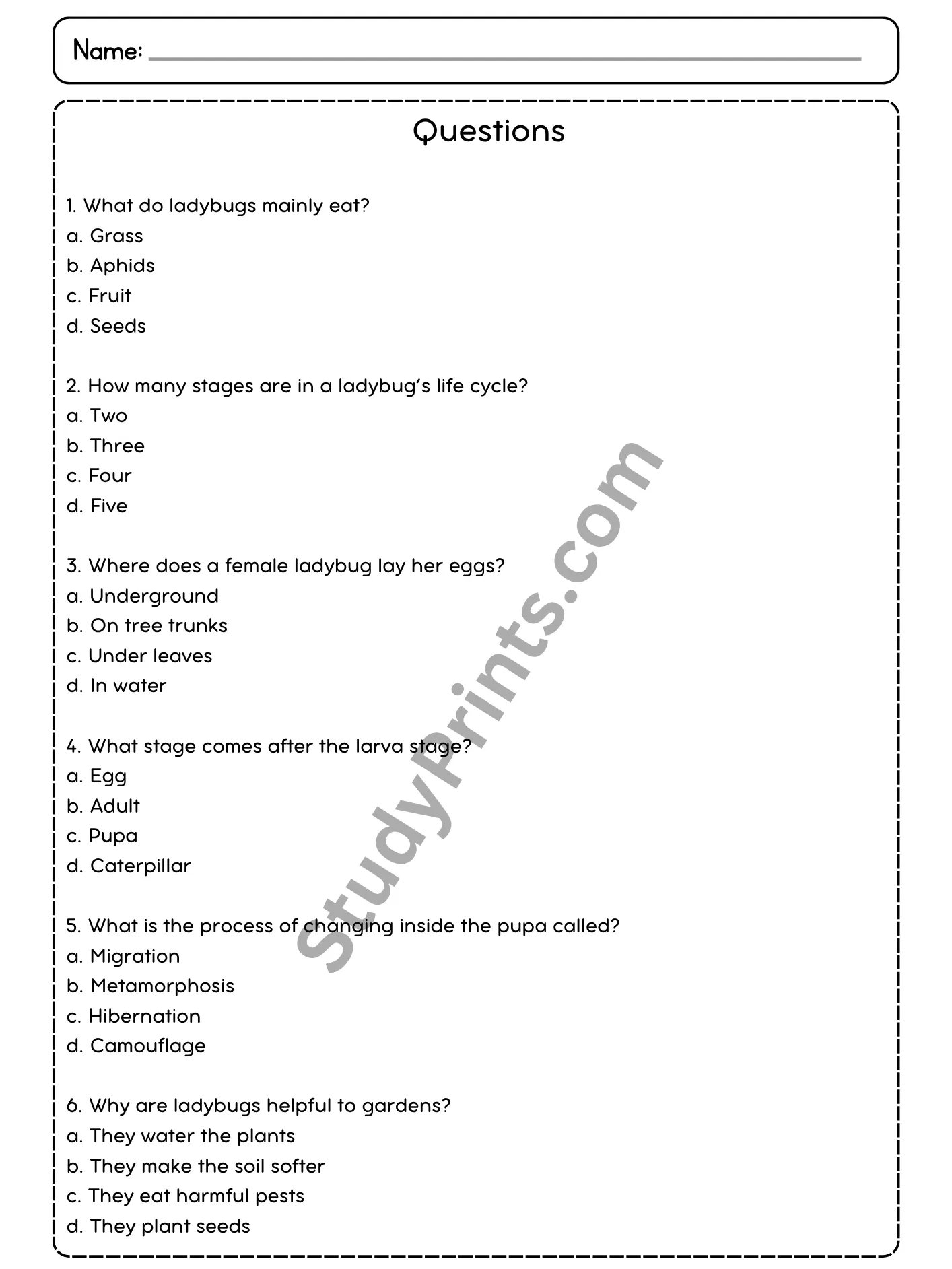 Ladybug Life Cycle Reading Comprehension Passage and Questions | Printable PDF product image (3)