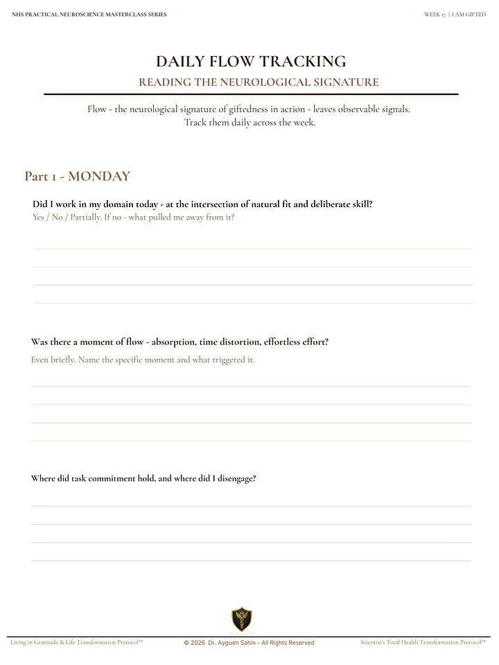 GIFT INTEGRATION AUDIT product image (2)