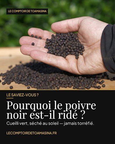 Pourquoi le poivre noir est-il ridé ? 🌶️ Cueilli encore vert puis séché au soleil, sa peau se fripe et noircit. Jamais torréf...