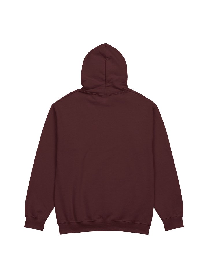 PRAISE YAHUAH Distressed Style Hoodie | Sacred Name Hebrew Faith Apparel product image (2)