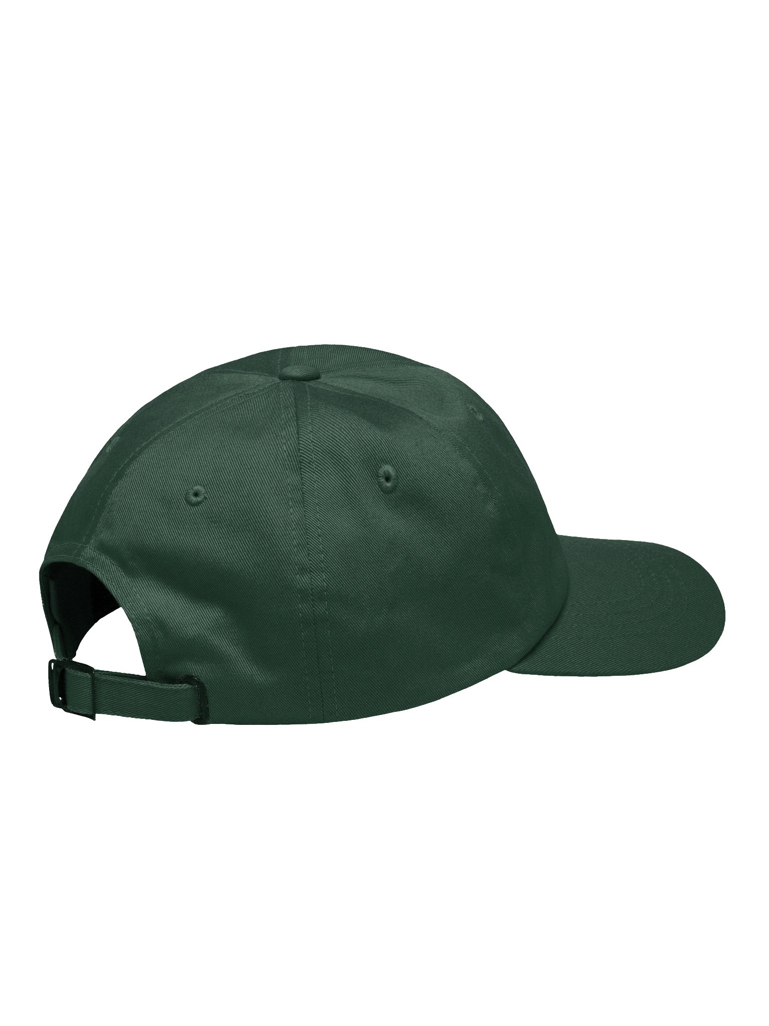 Cinnamon Hummingbird Embroidered Hat | Hummingbird Dad Cap | Bird Lover Gift product image (36)