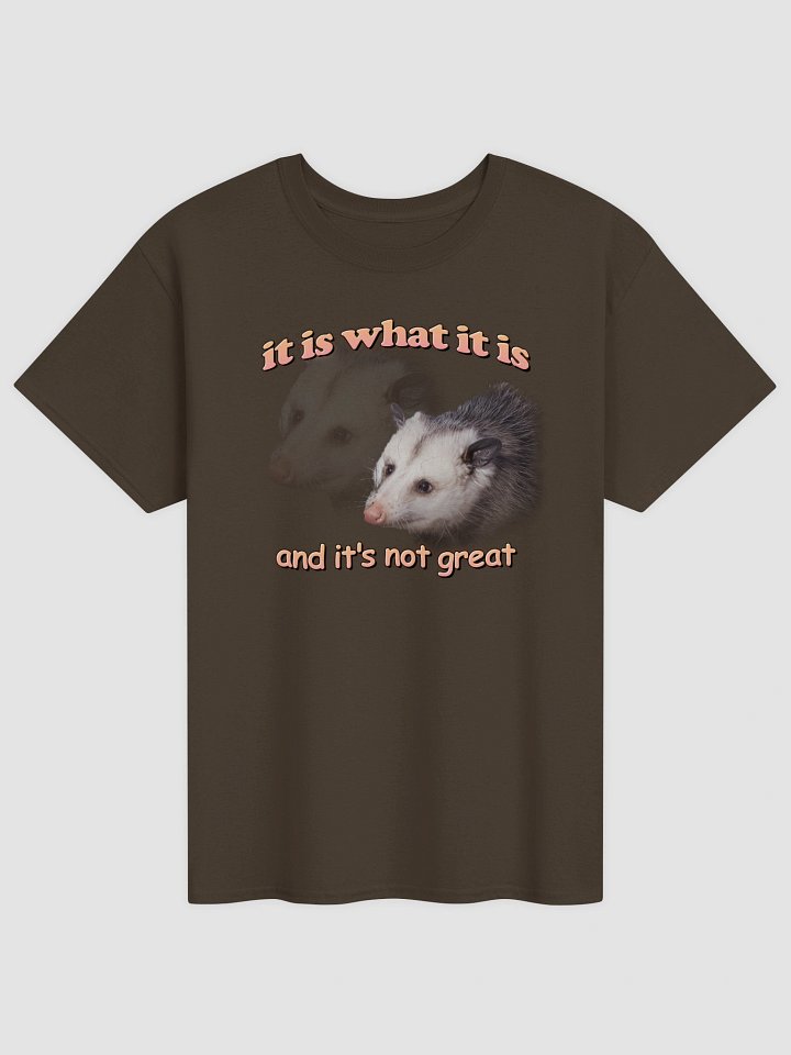 It is what it is (and it's not great) possum T-shirt product image (13)
