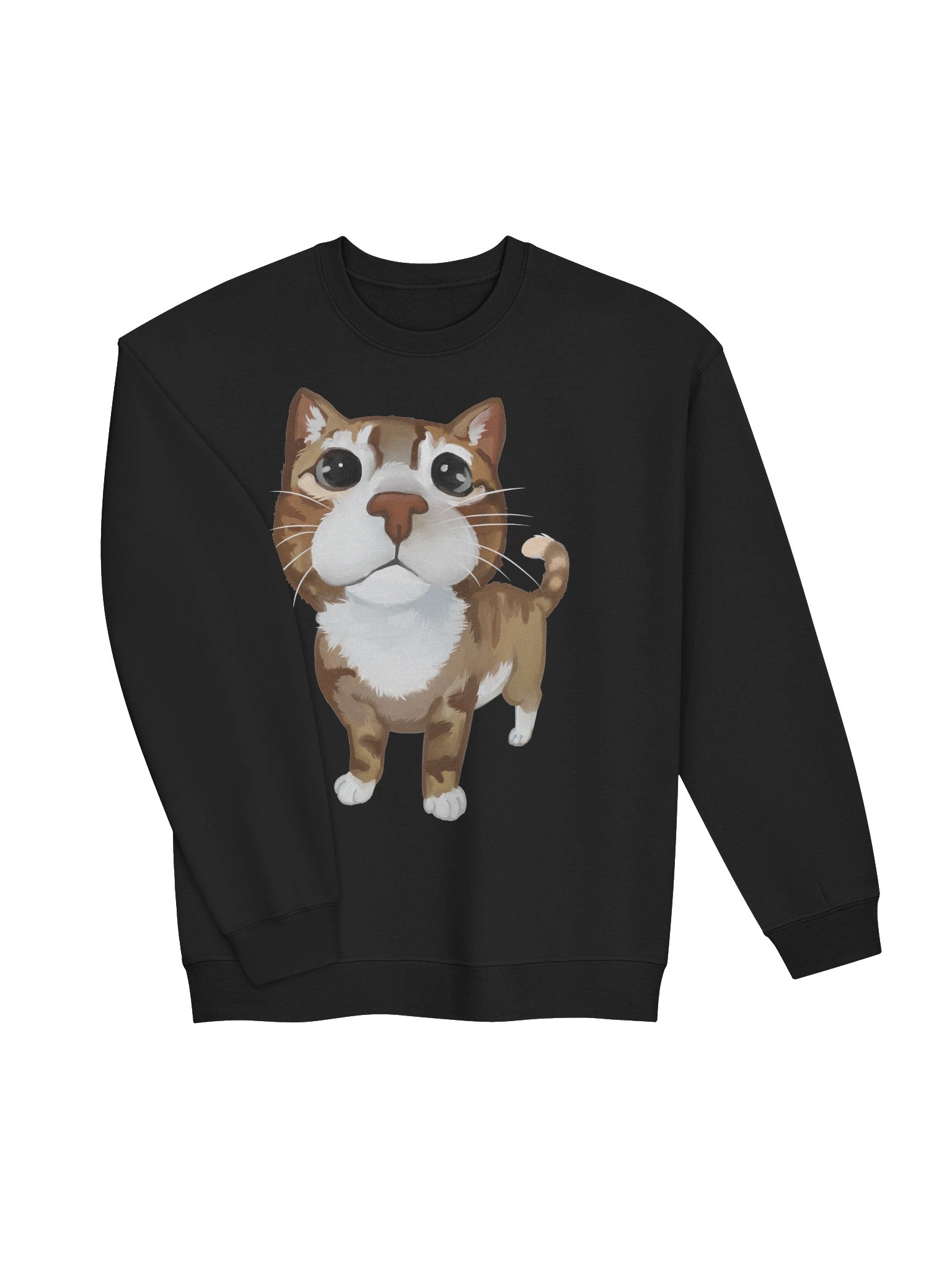 cat product image (13)