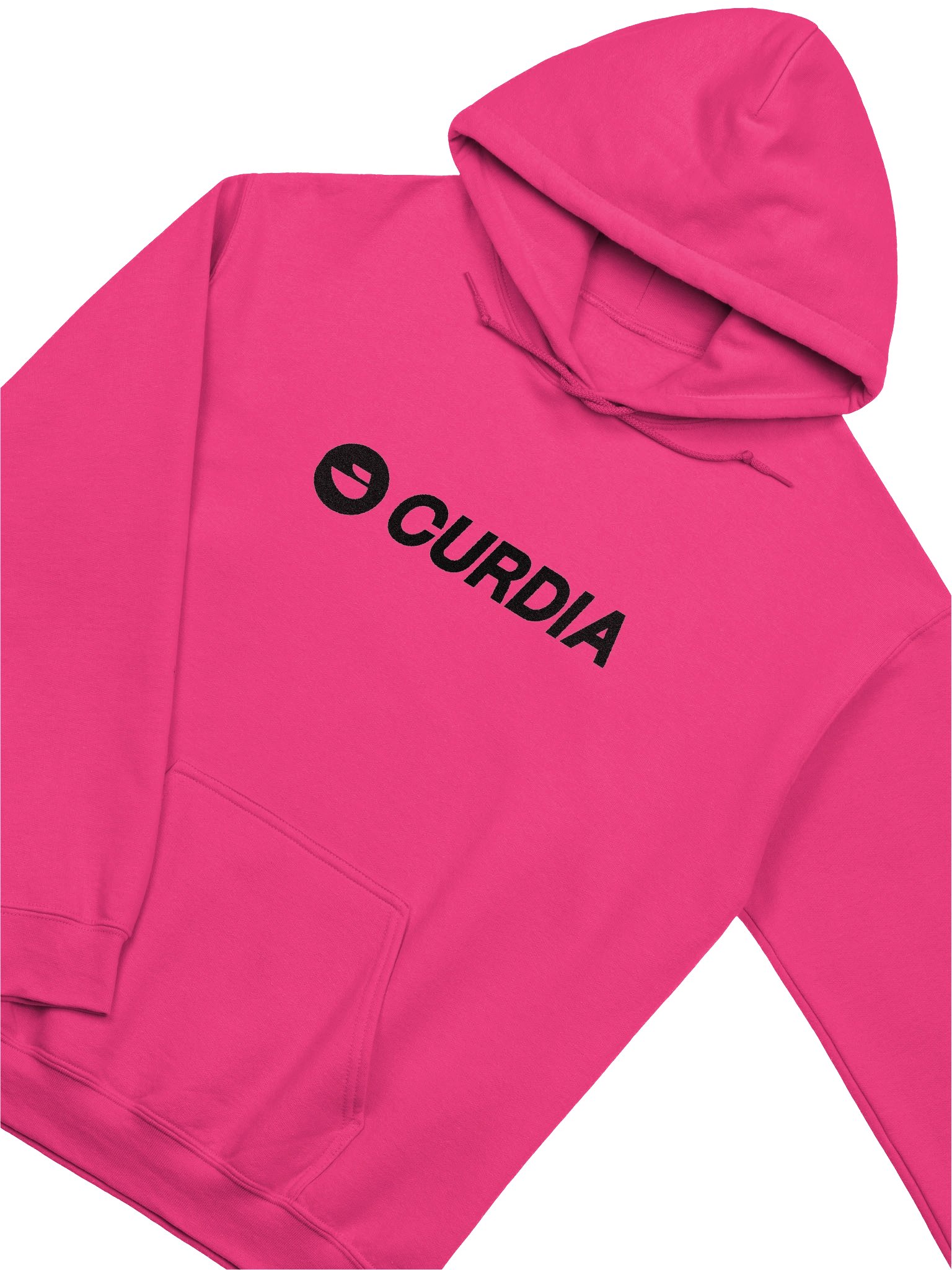 Curdia Black Brand Embroidered Hoodie product image (5)