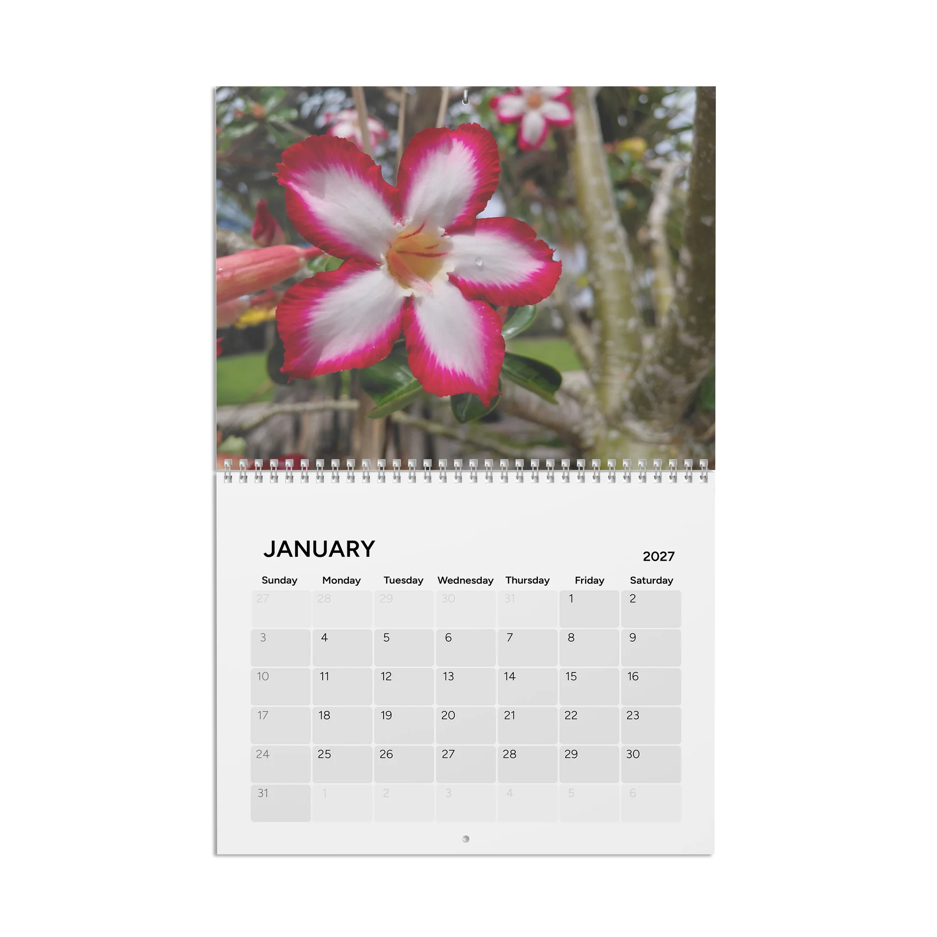 Marlin Arbor 2027 Calendar product image (1)