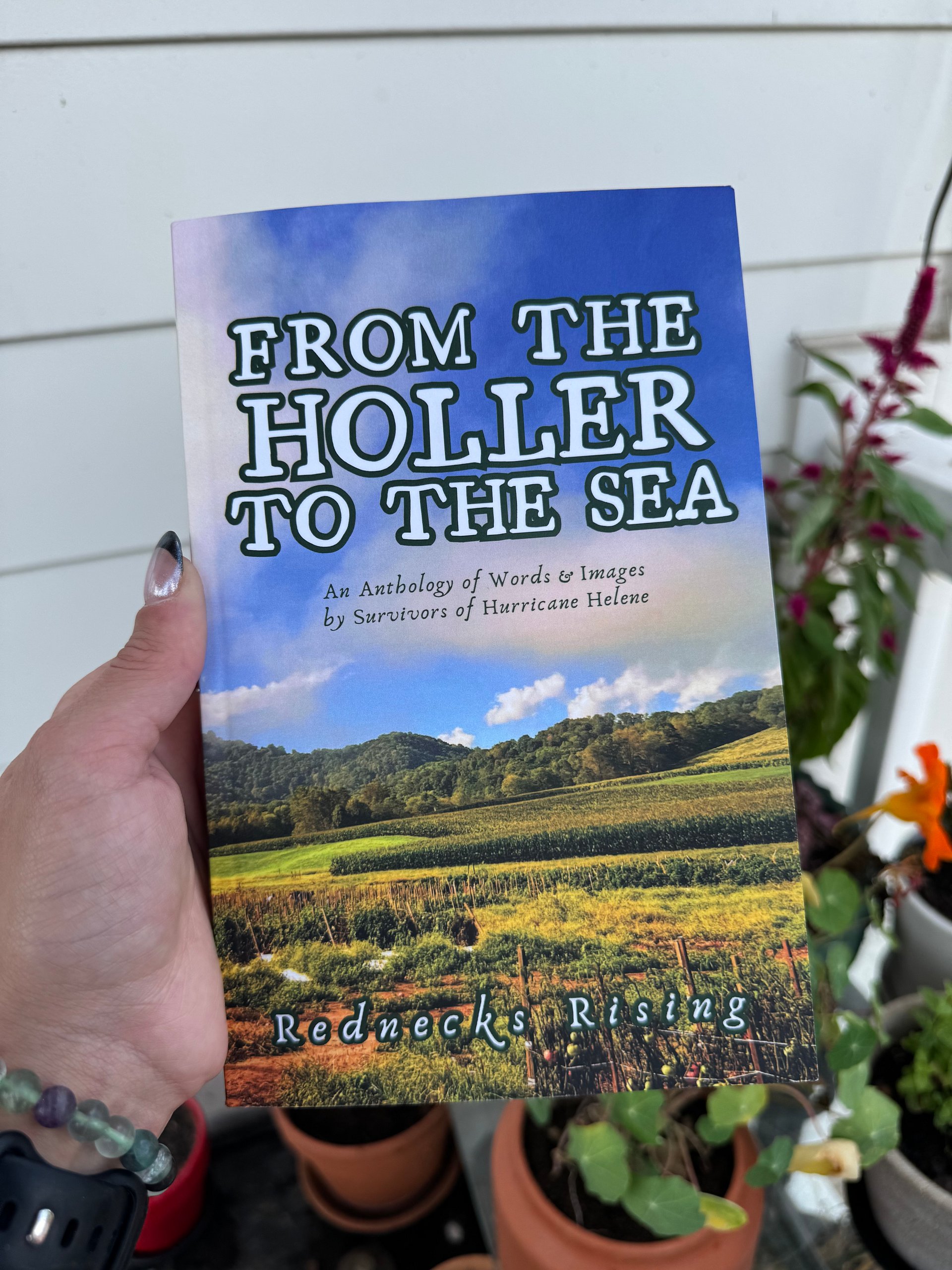 From the Holler to the Sea Anthology product image (4)