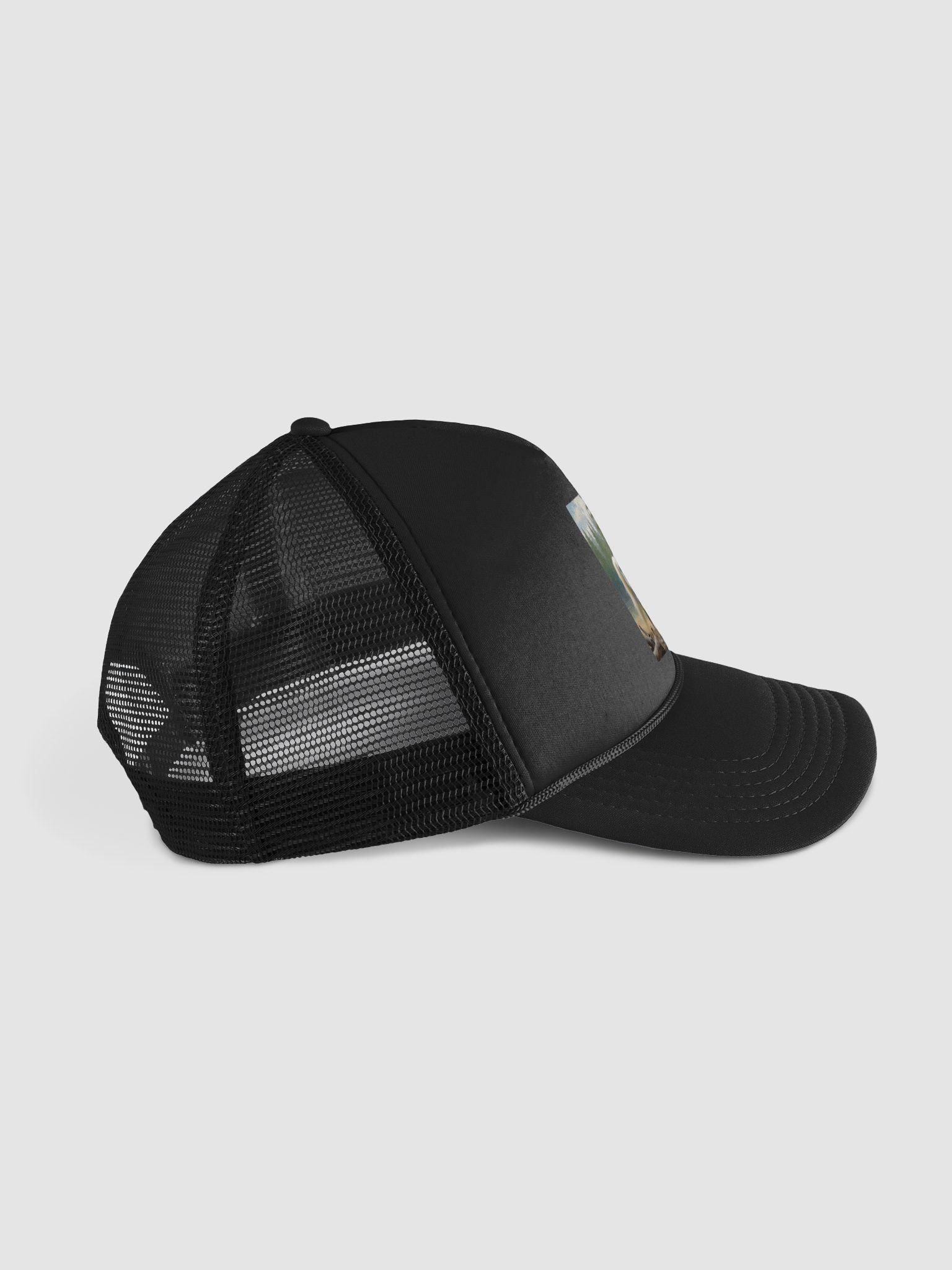 Horse product image (5)