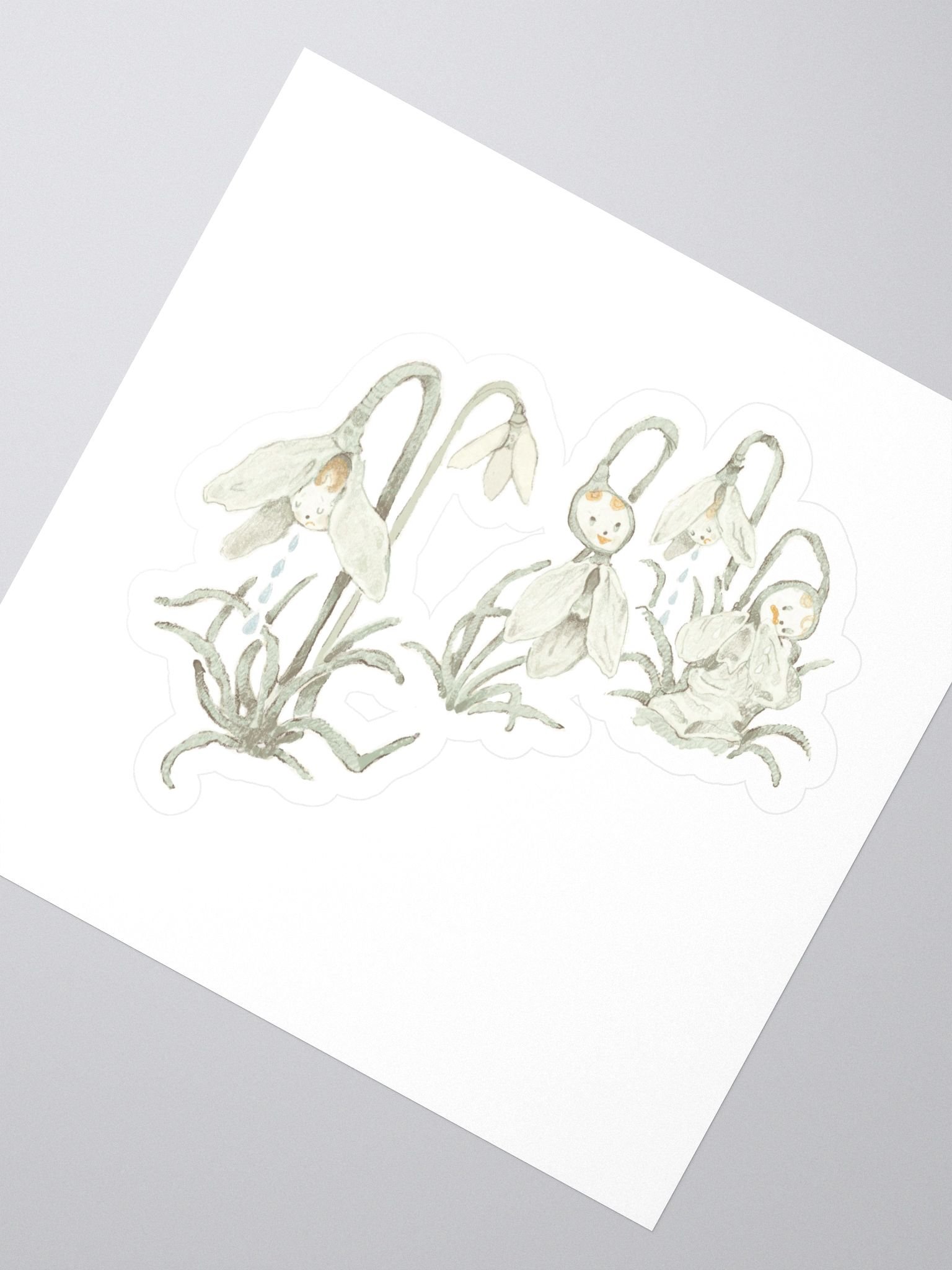 snowdrops,2025 product image (2)
